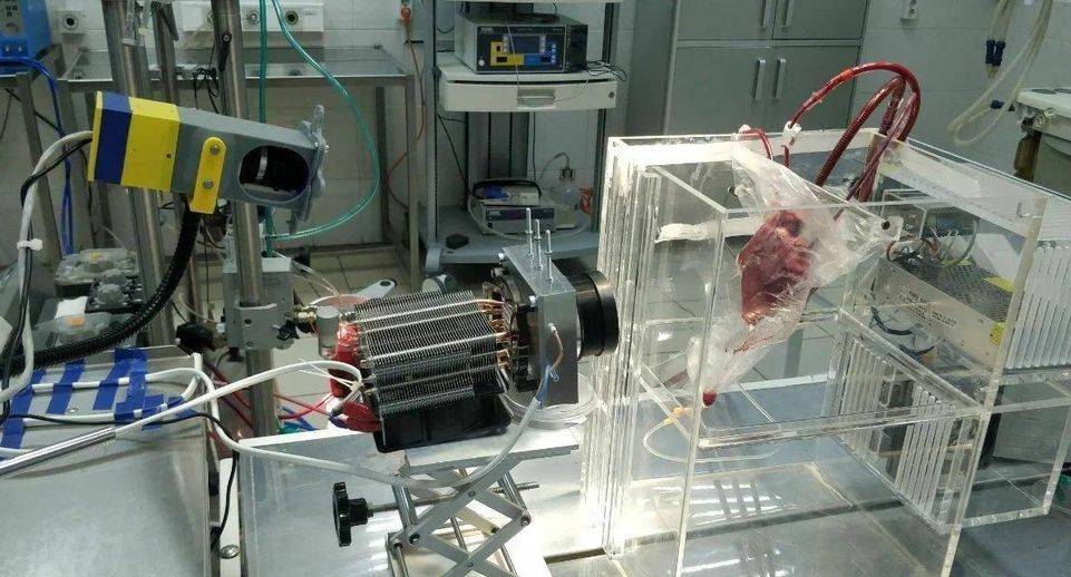 Воробьев: уникальный аппарат для перевозки донорских сердец создали в МФТИ
