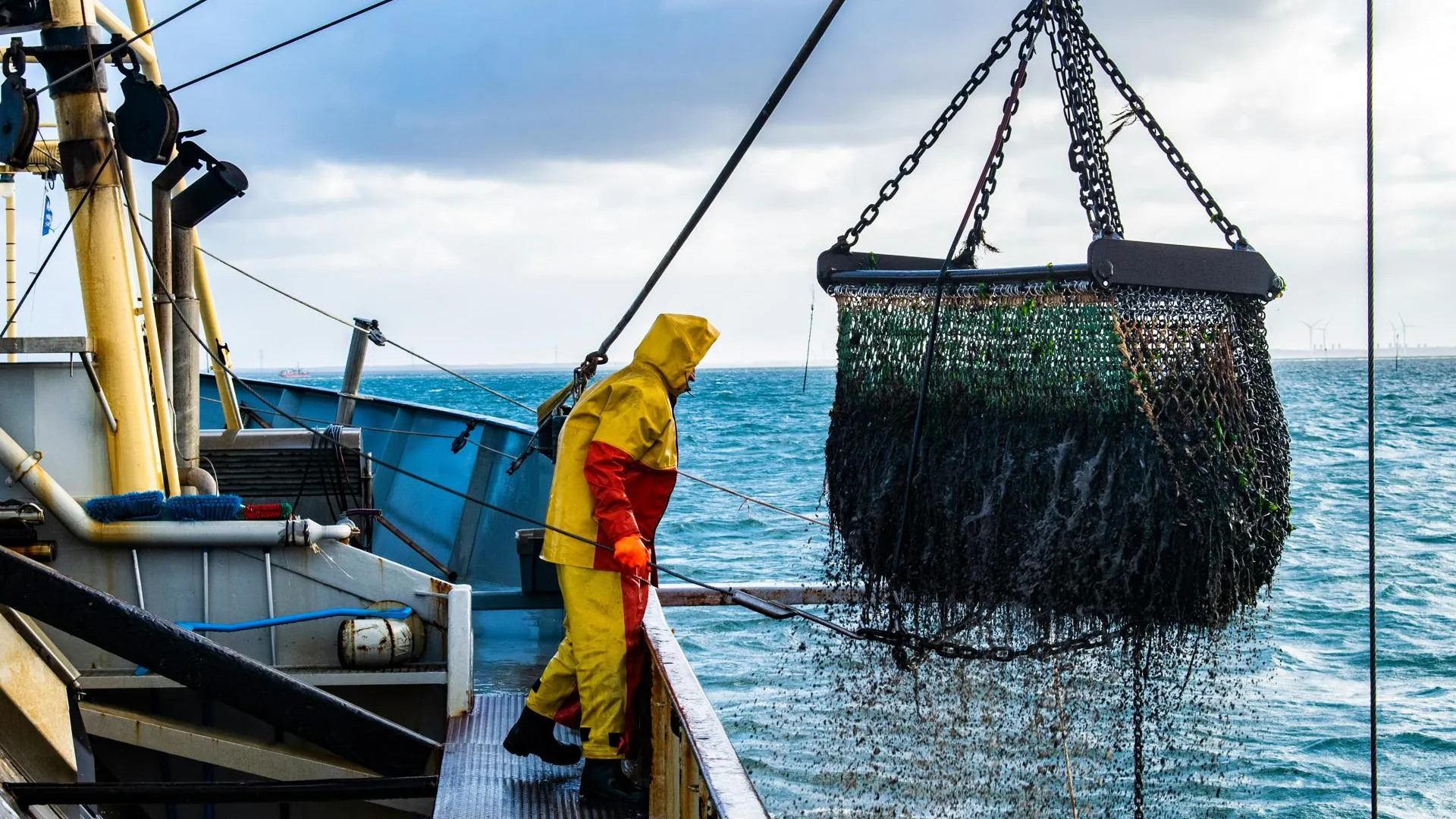 Рыбопромышленников на Дальнем Востоке обязали отдать в казну 17,4 млрд рублей