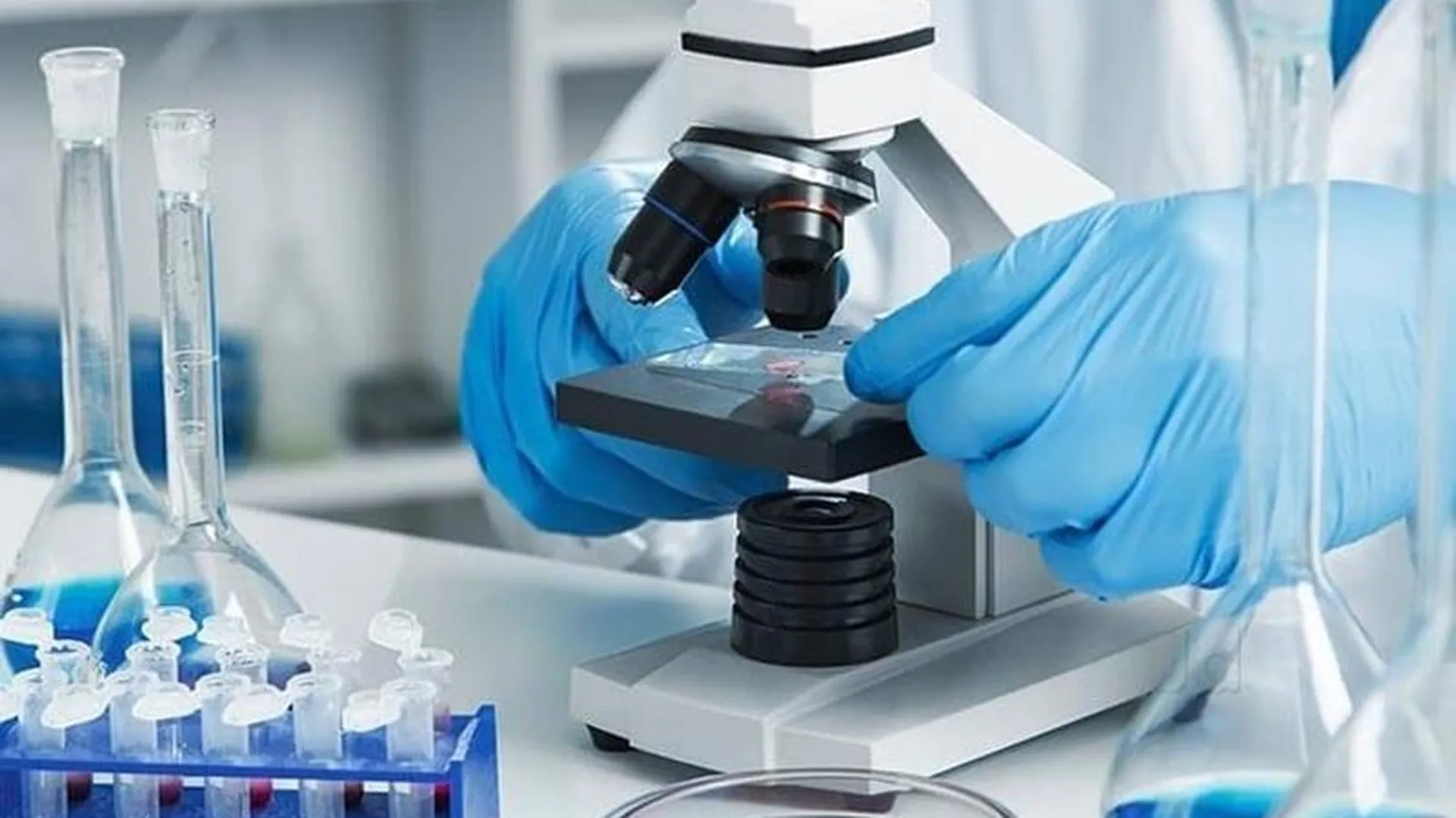 Ученые из Красногорска и Пущино получили госпремию за разработку средства от онкологии