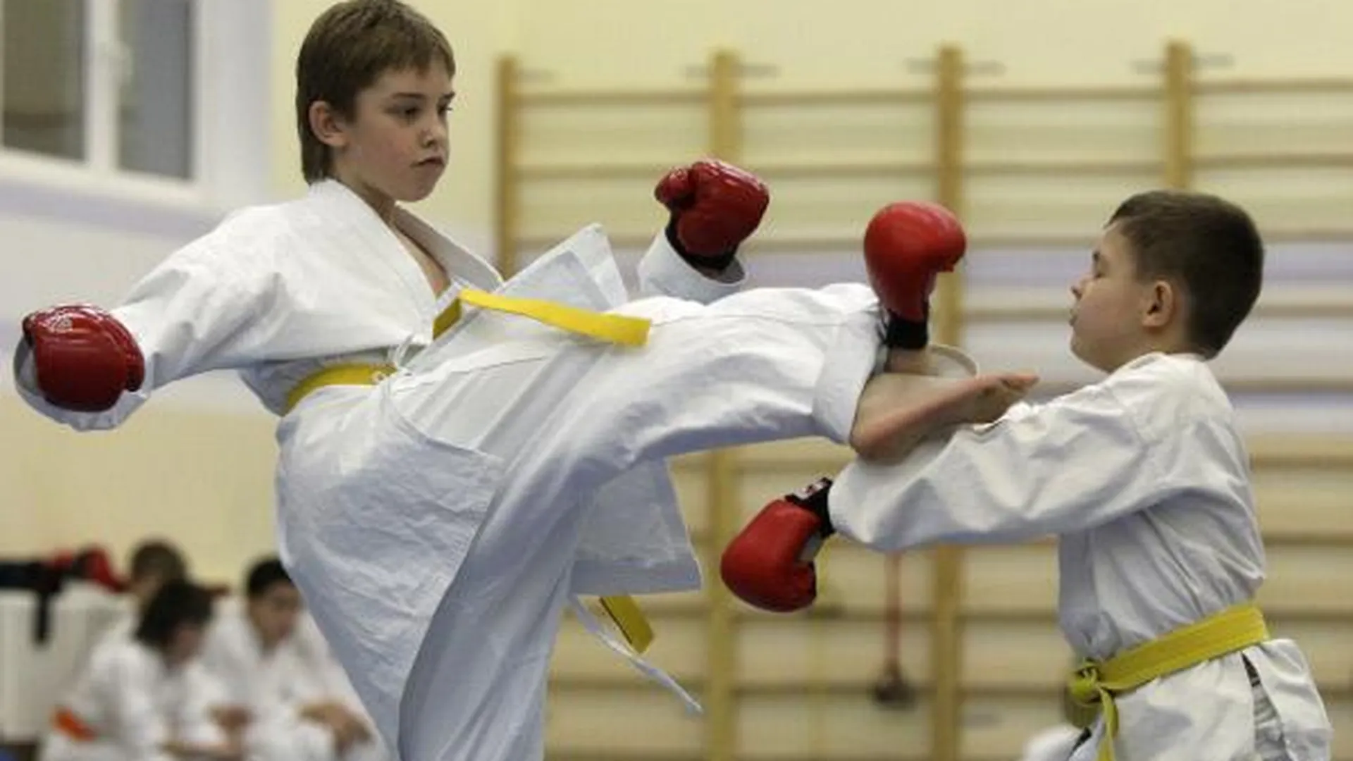 В Жуковском более 200 юных спортсменов поучаствовали в первенстве по карате-до