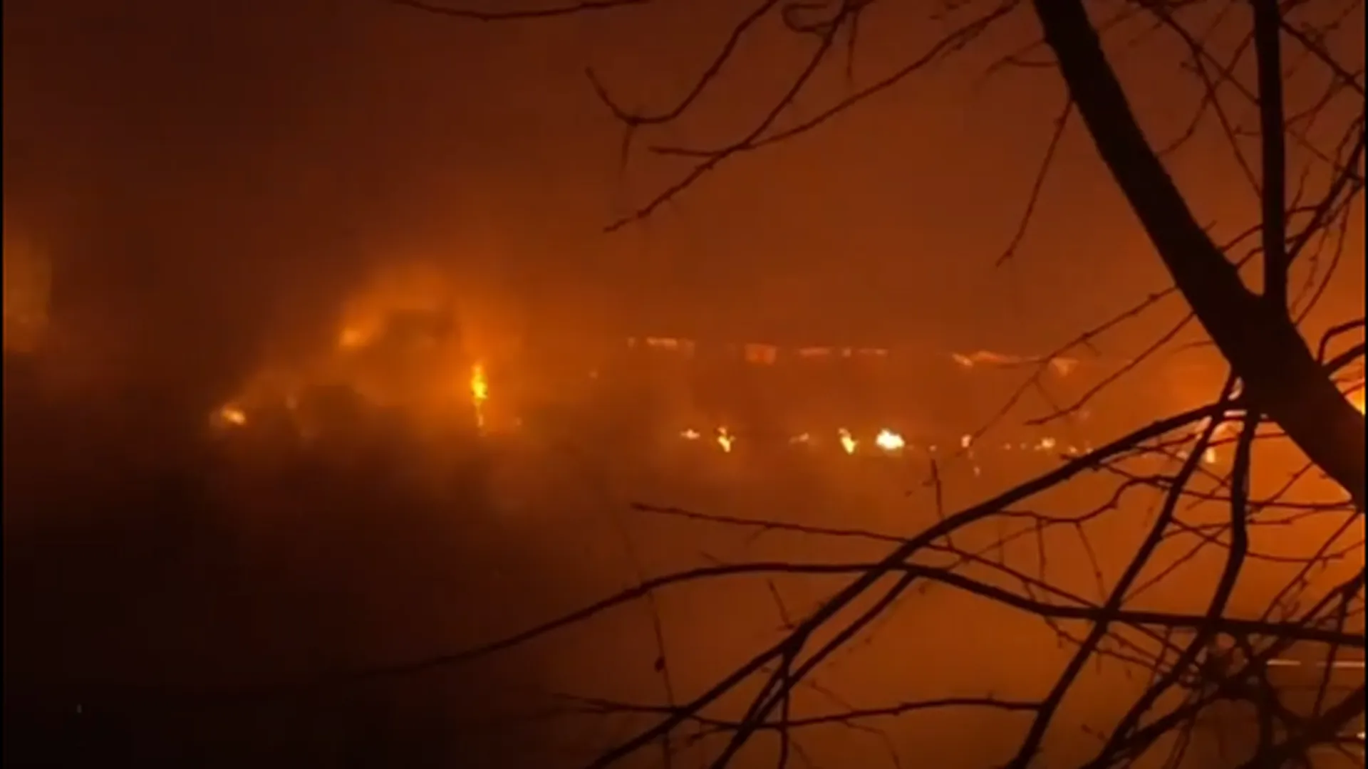 Опубликованы кадры с места сильного пожара в доме престарелых в Пушкино
