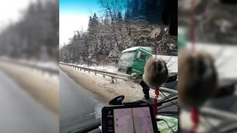 ДТП на Минском шоссе: фура рухнула в кювет и протаранила деревья