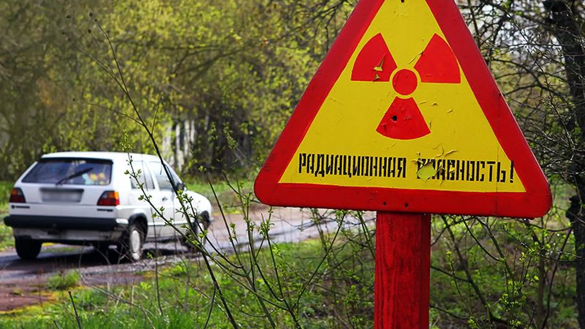 Дары Чернобыля: в подмосковном Роспотребнадзоре предупредили об опасности фонящих ягод