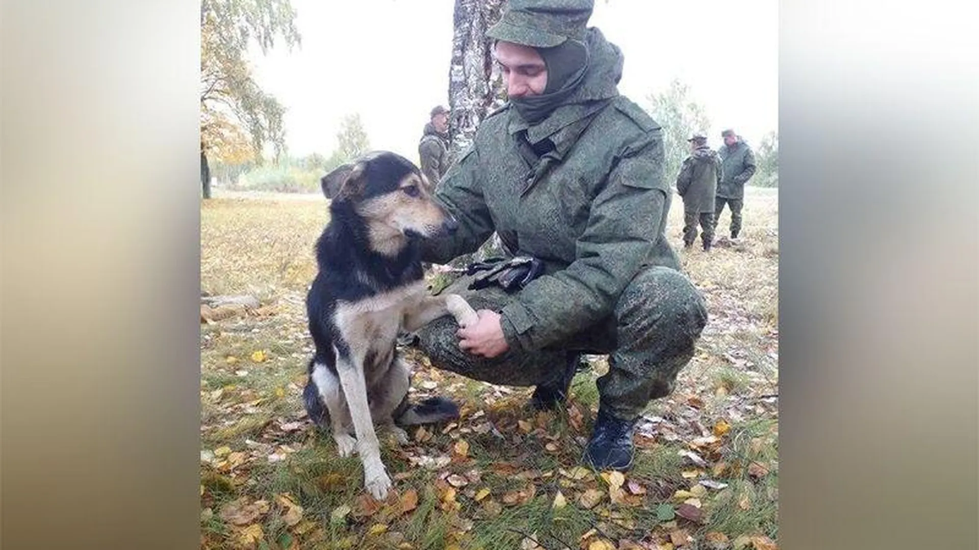 Контуженный после теракта в Белгороде солдат рвется на передовую 
