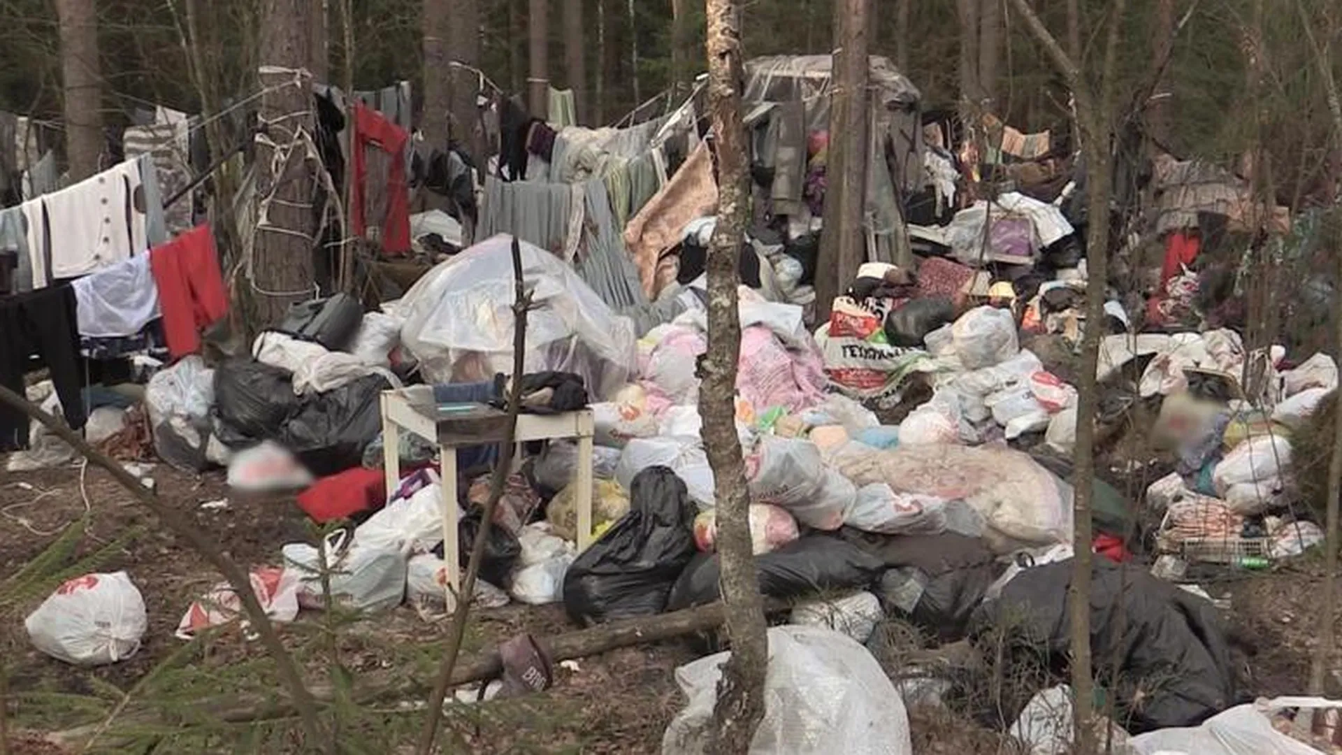 Жительница Дубны бросила квартиру ради жизни в шалаше из мусора 
