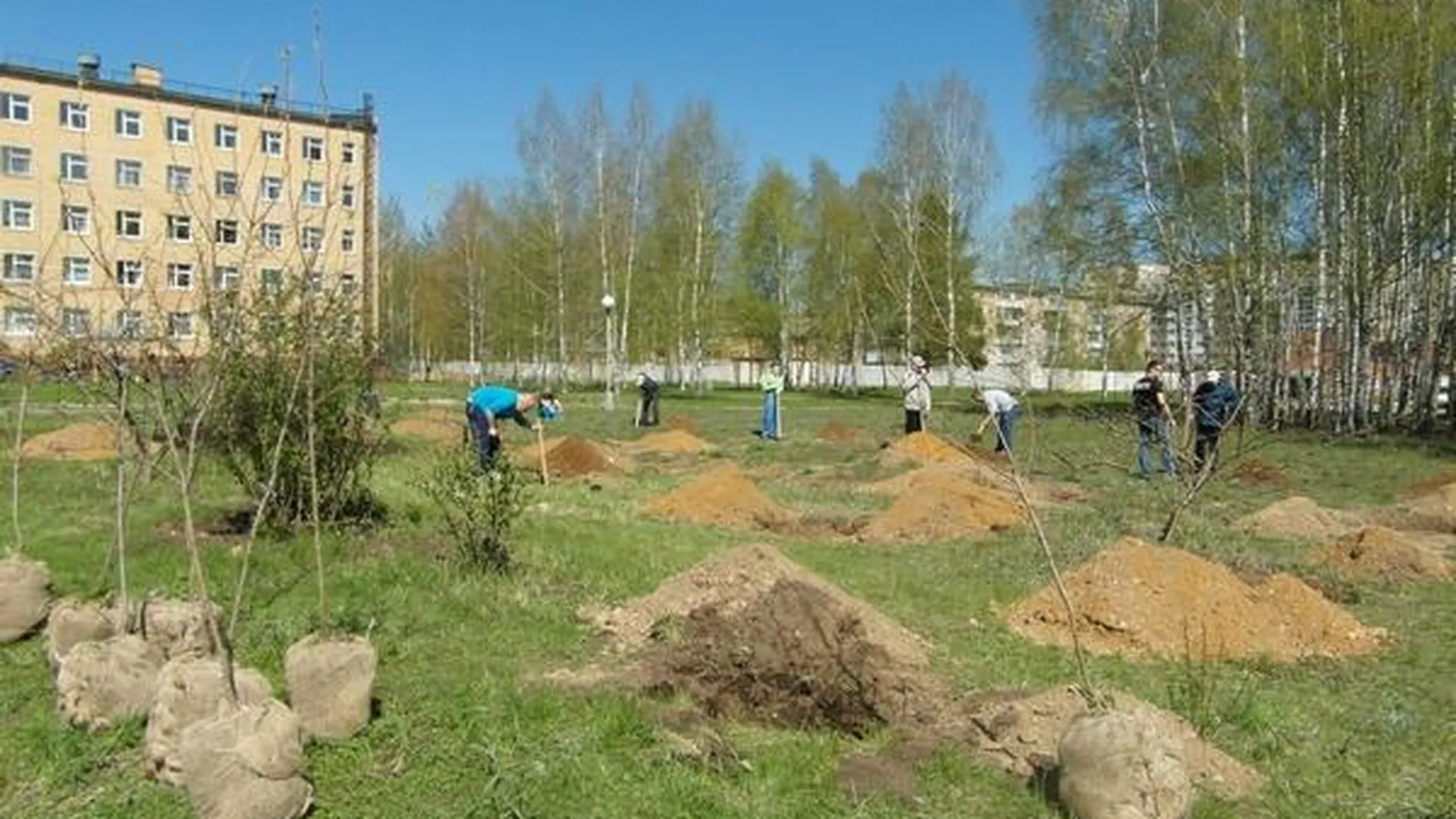 Фруктовый сад Победы посадили в Звенигороде