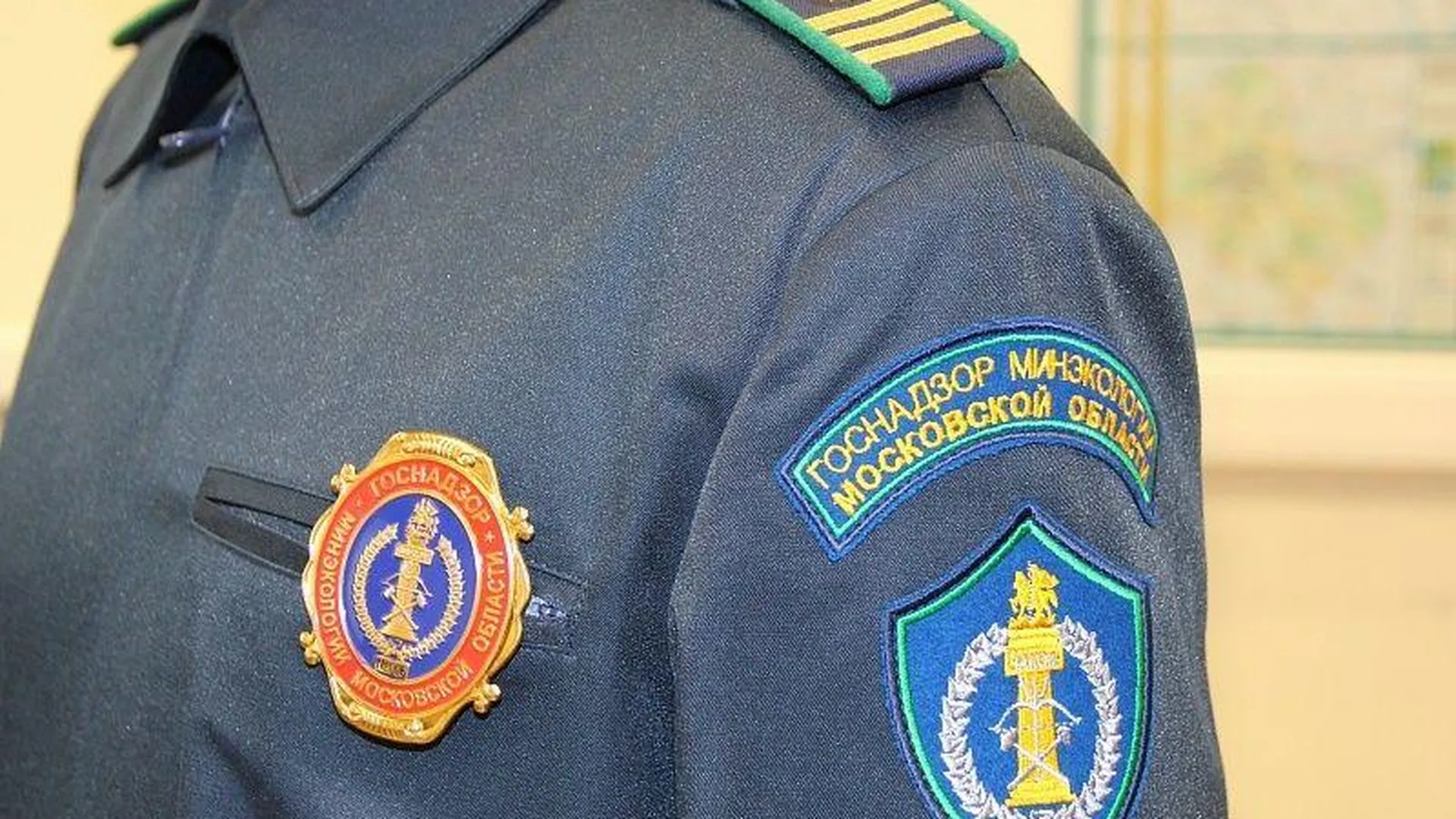 Незаконные свалки в Рузе нанесли ущерб на сумму более 3 миллионов рублей