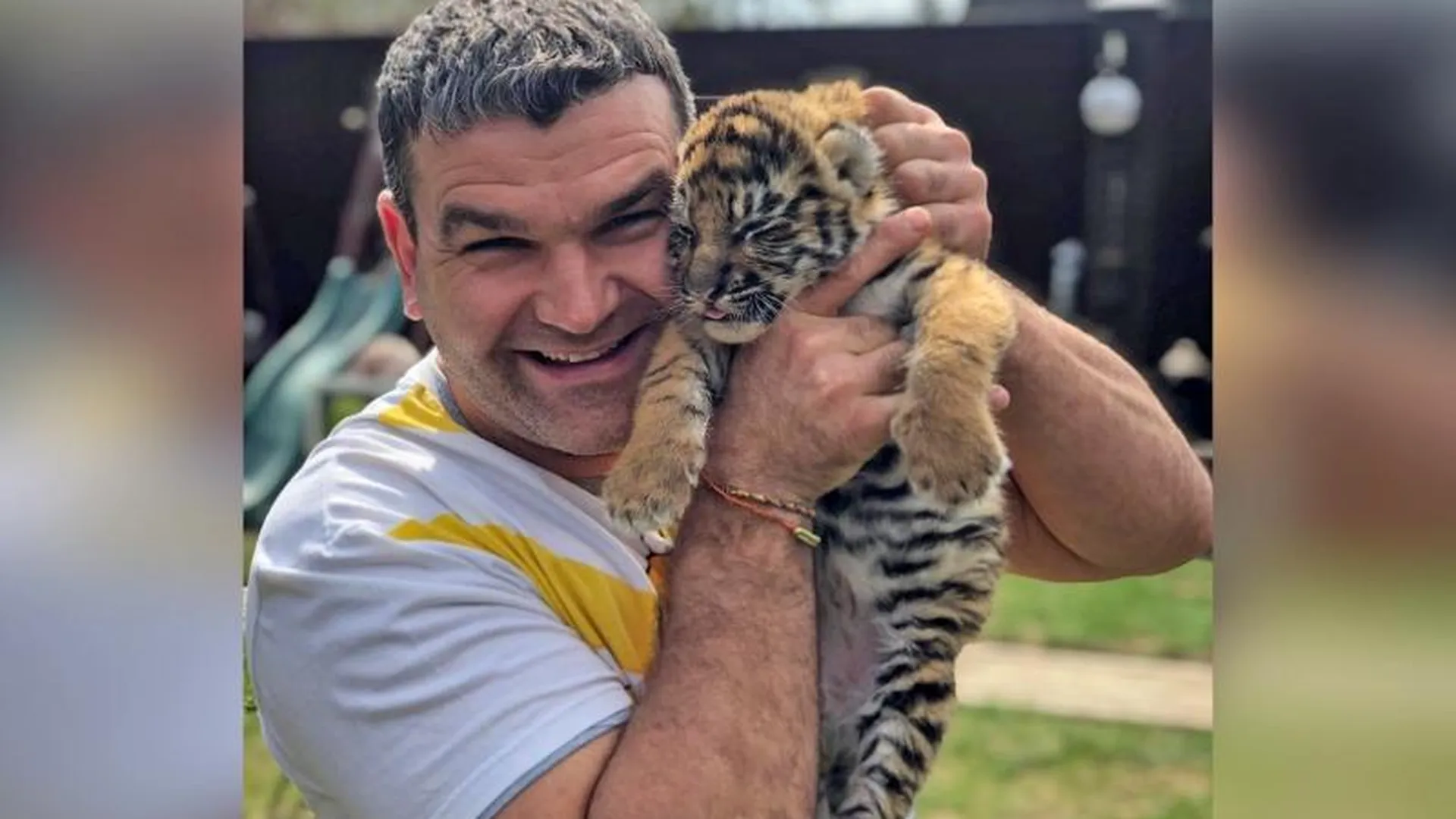 Владелец десяти тигров из Подмосковья спас от голодной смерти дикого котенка на другом конце России 