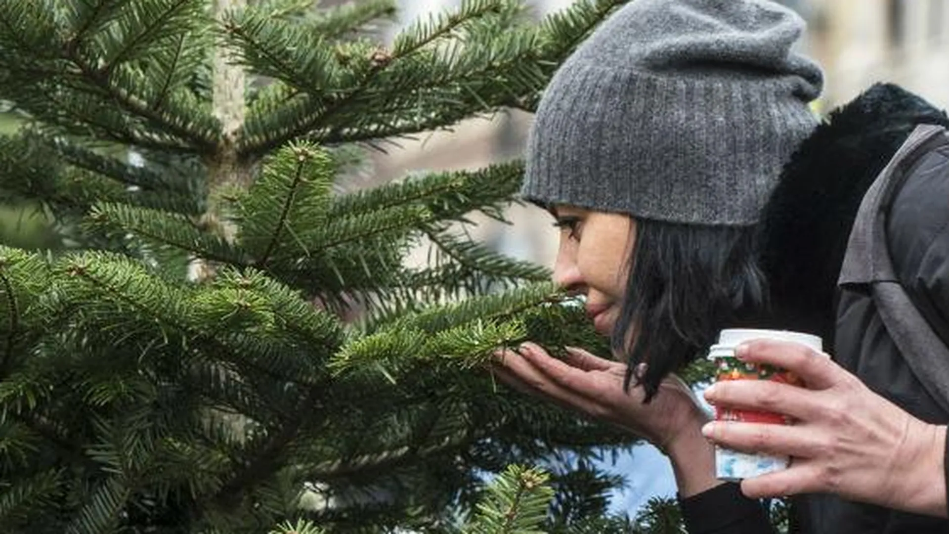 Порядка 700 рублей за 1 метр стоит новогодняя елка в Подмосковье