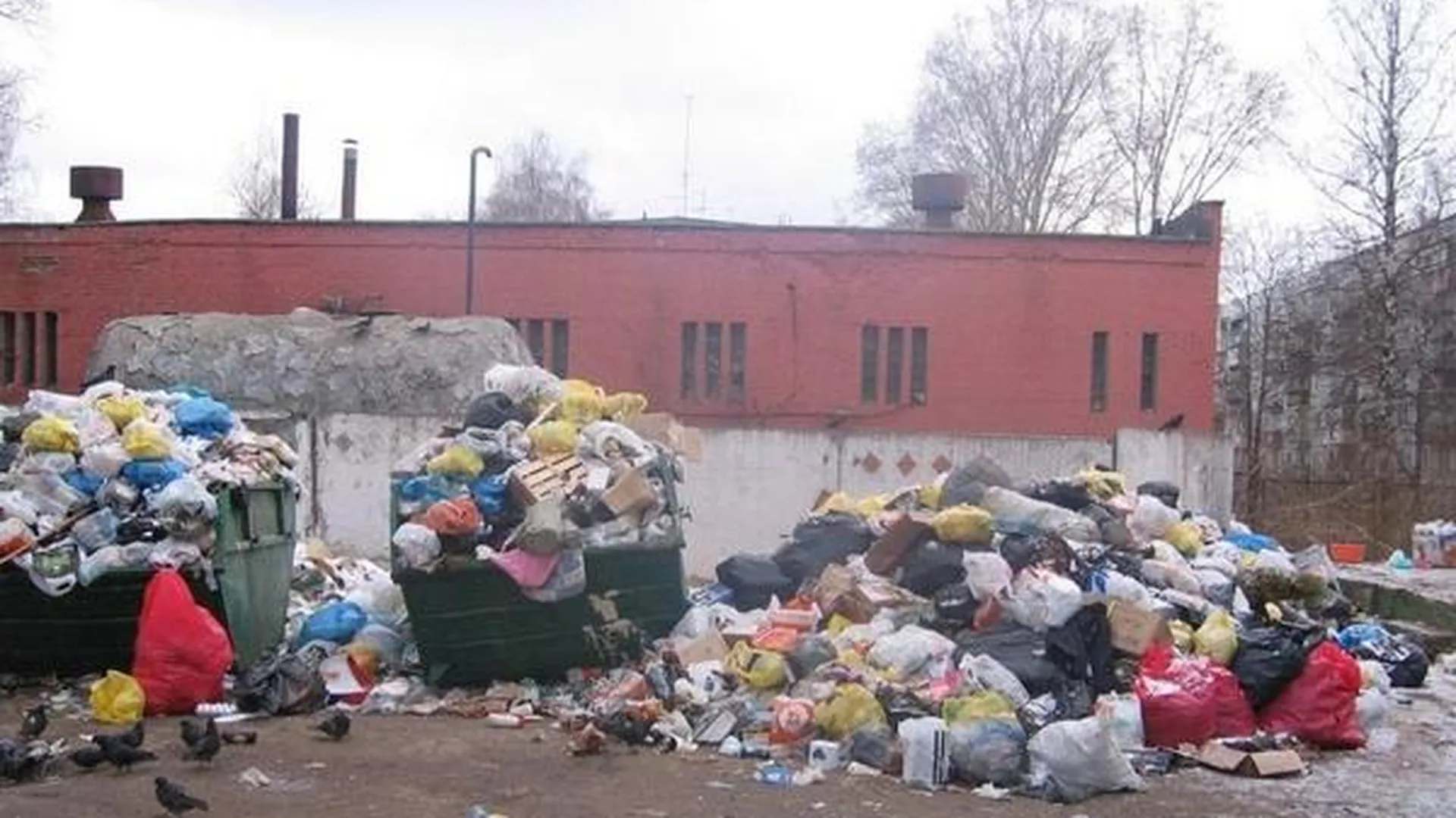 «Славянку» в Ногинске-9 оштрафовали на 150 тыс руб за мусор