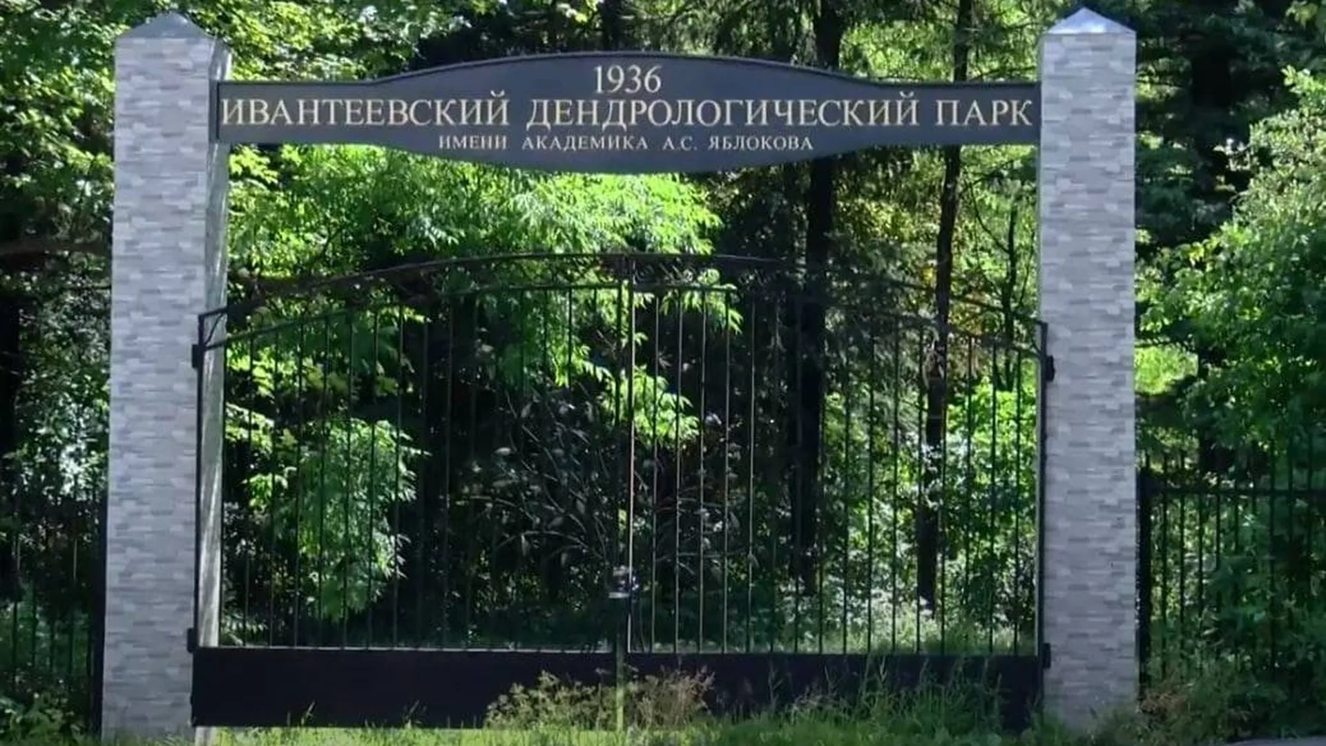 Жителям Ивантеевки предложат убраться в дендропарке на общеобластном субботнике