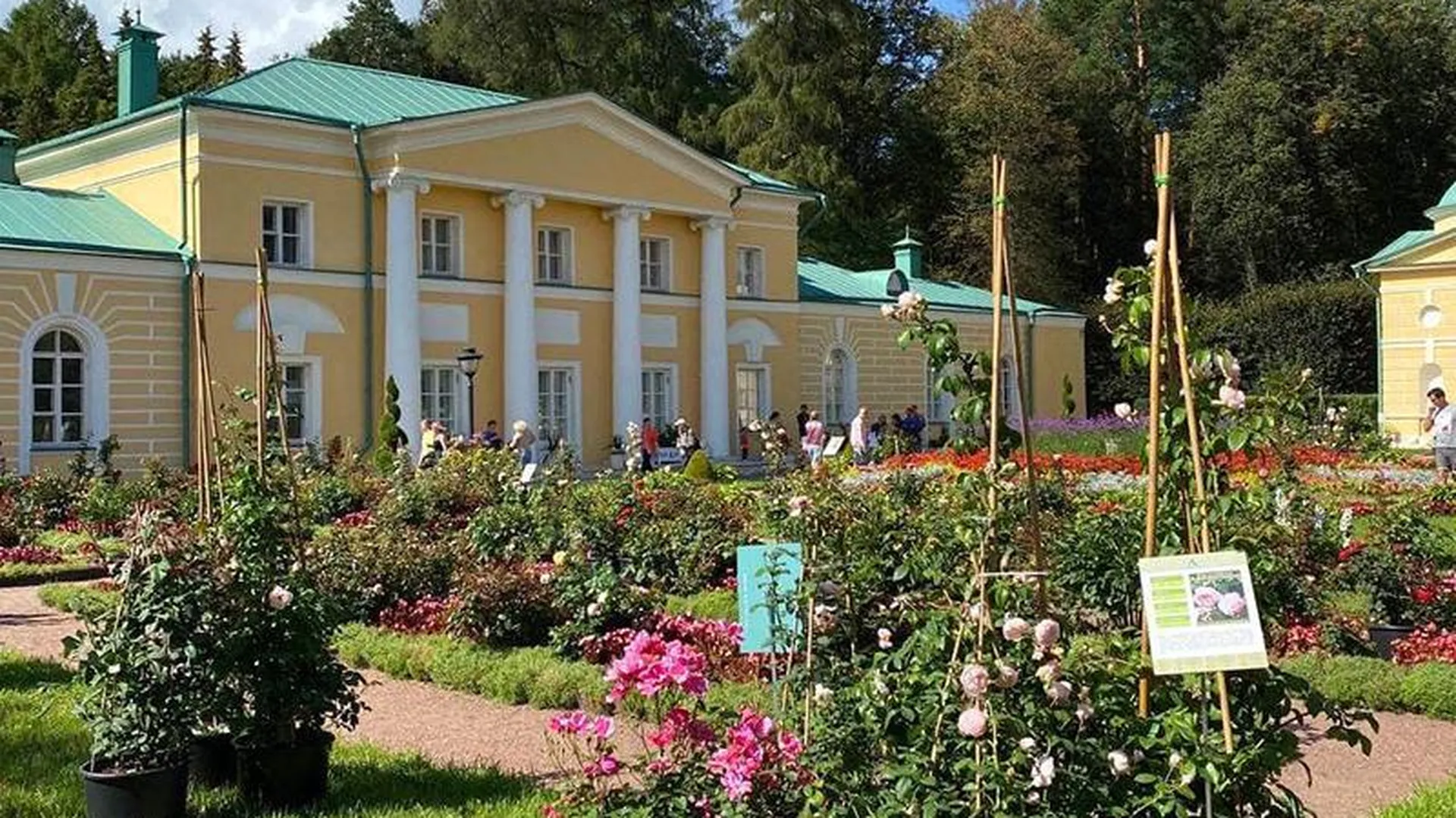 В «Архангельском» проведут ежегодный фестиваль роз