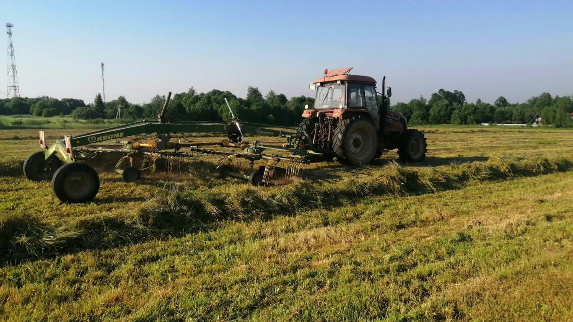 В Талдомском городском округе заготовят больше 10 тонн сена и сенажа