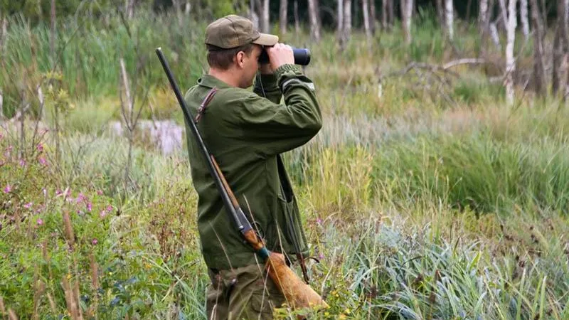 В лесах Московской области идет борьба с незаконной охотой