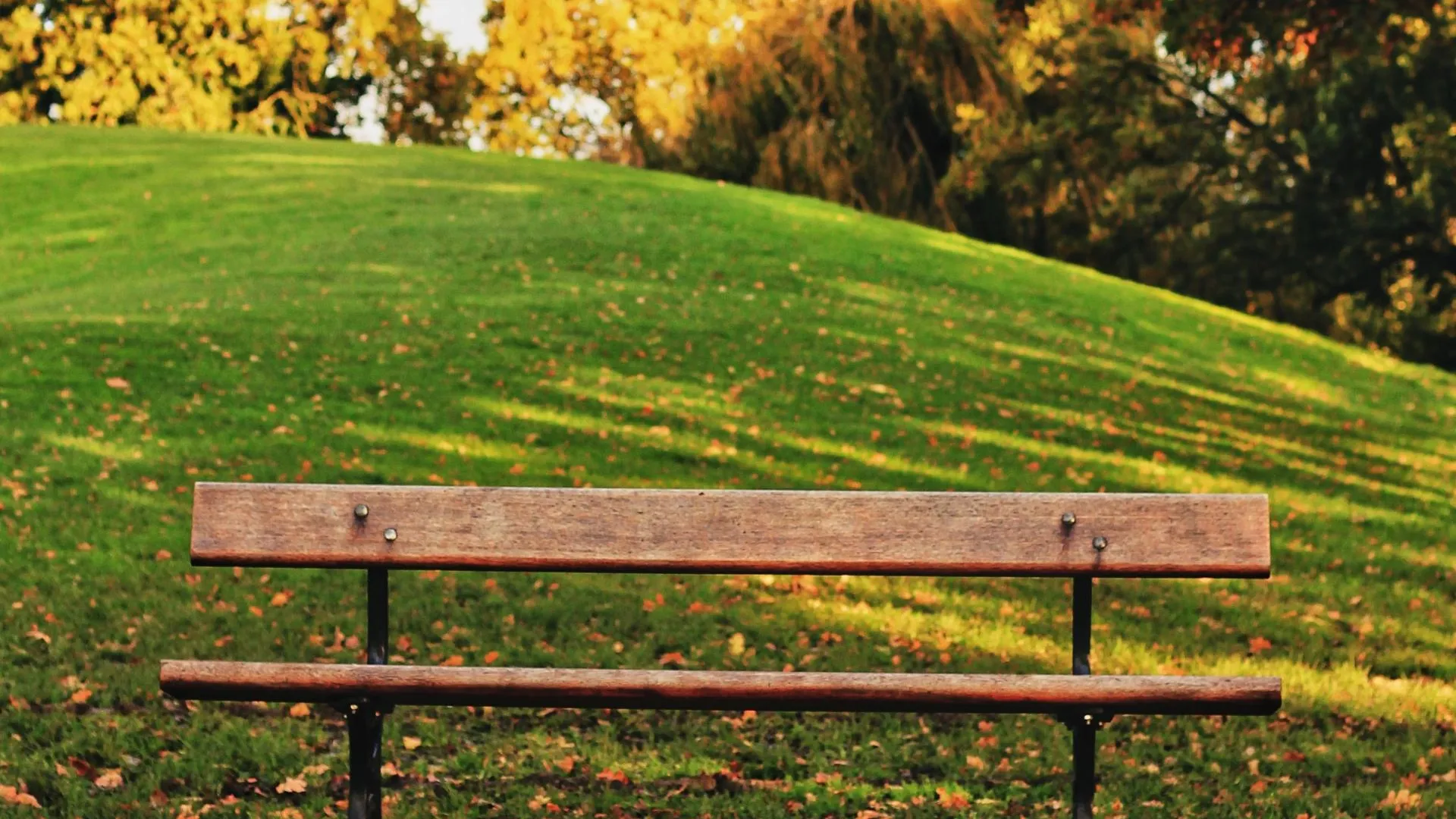 Благоустройство территории вблизи Южного озера в Черноголовке начнется ...