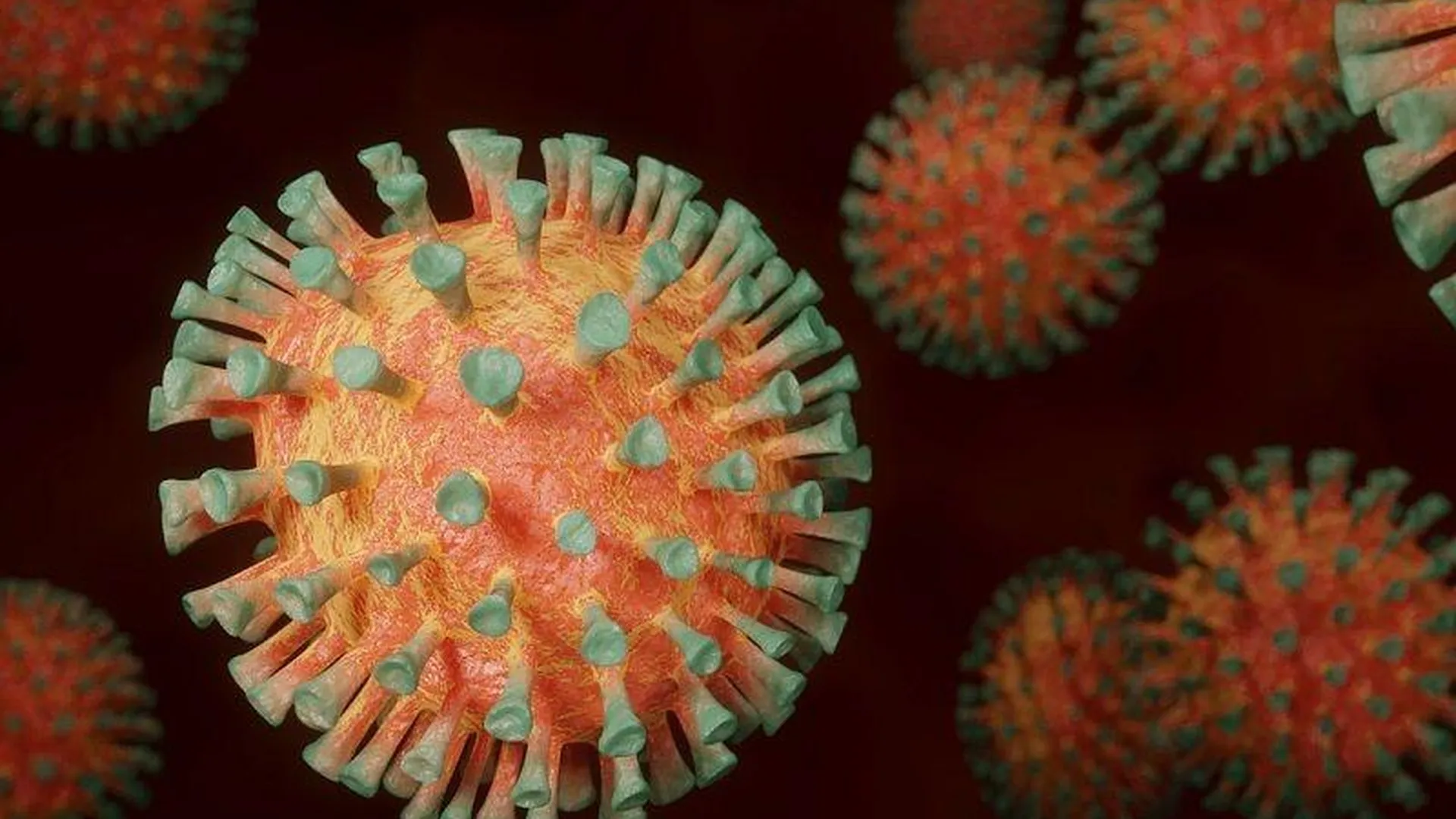 Эксперт: коронавирус самоликвидироваться не может