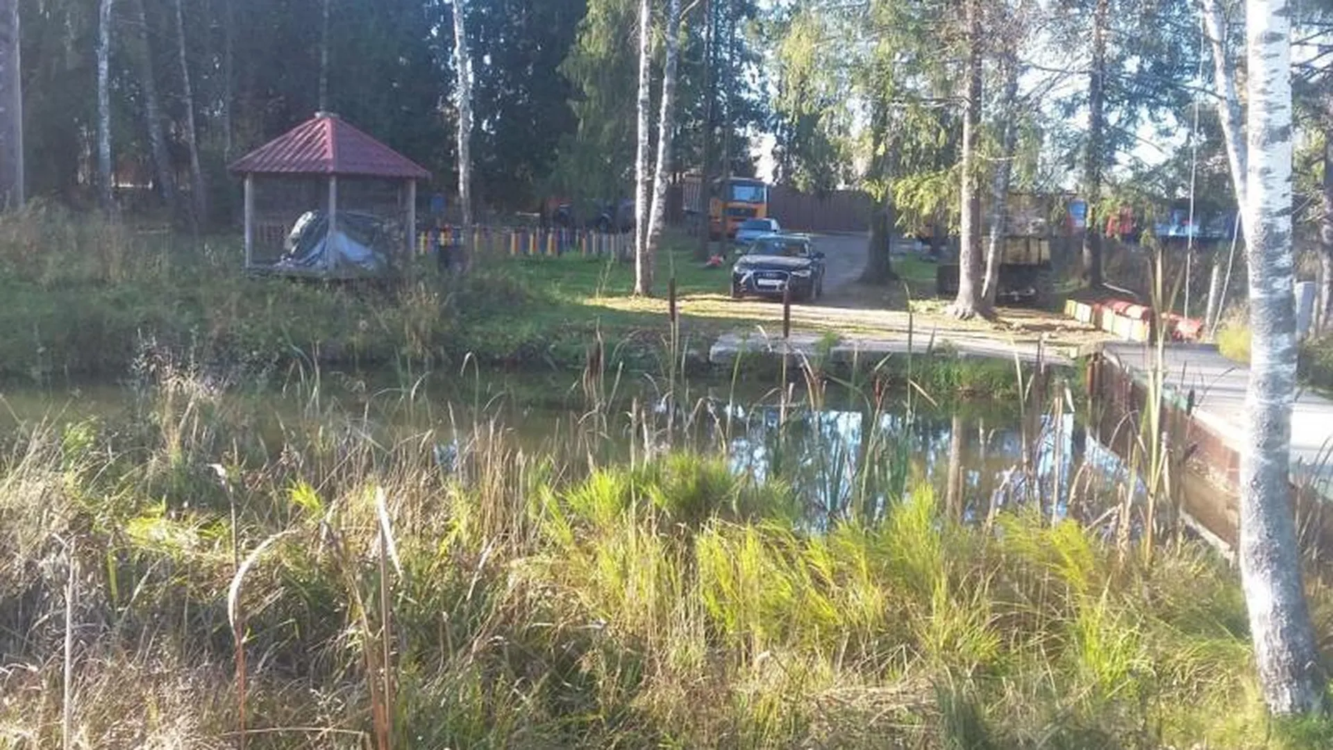 Компания незаконно организовала платную рыбалку на пруду в Сергиево-Посадском районе