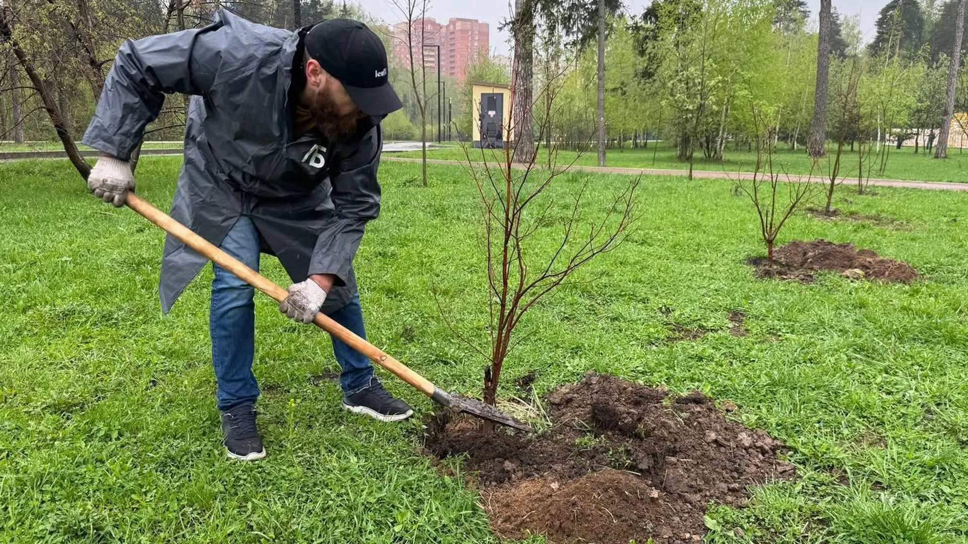 Почти восемь тысяч деревьев высадили в парках Подмосковья в рамках акции «День добрых дел»