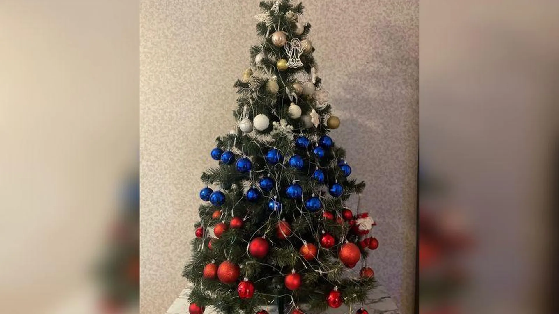 «Патриотичная елка»: жительница Домодедово украсила новогоднее дерево триколором