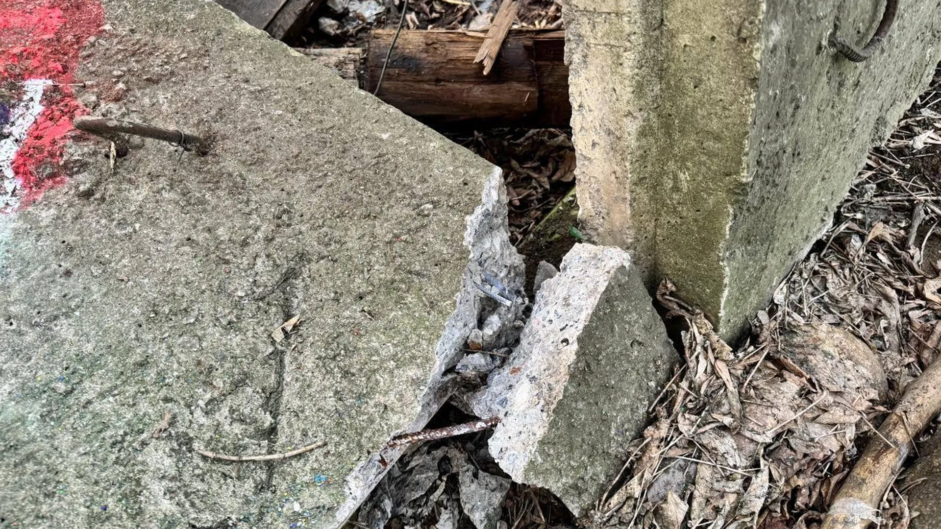 Рухнувший бетонный забор убил семилетнюю девочку в подмосковных Мытищах