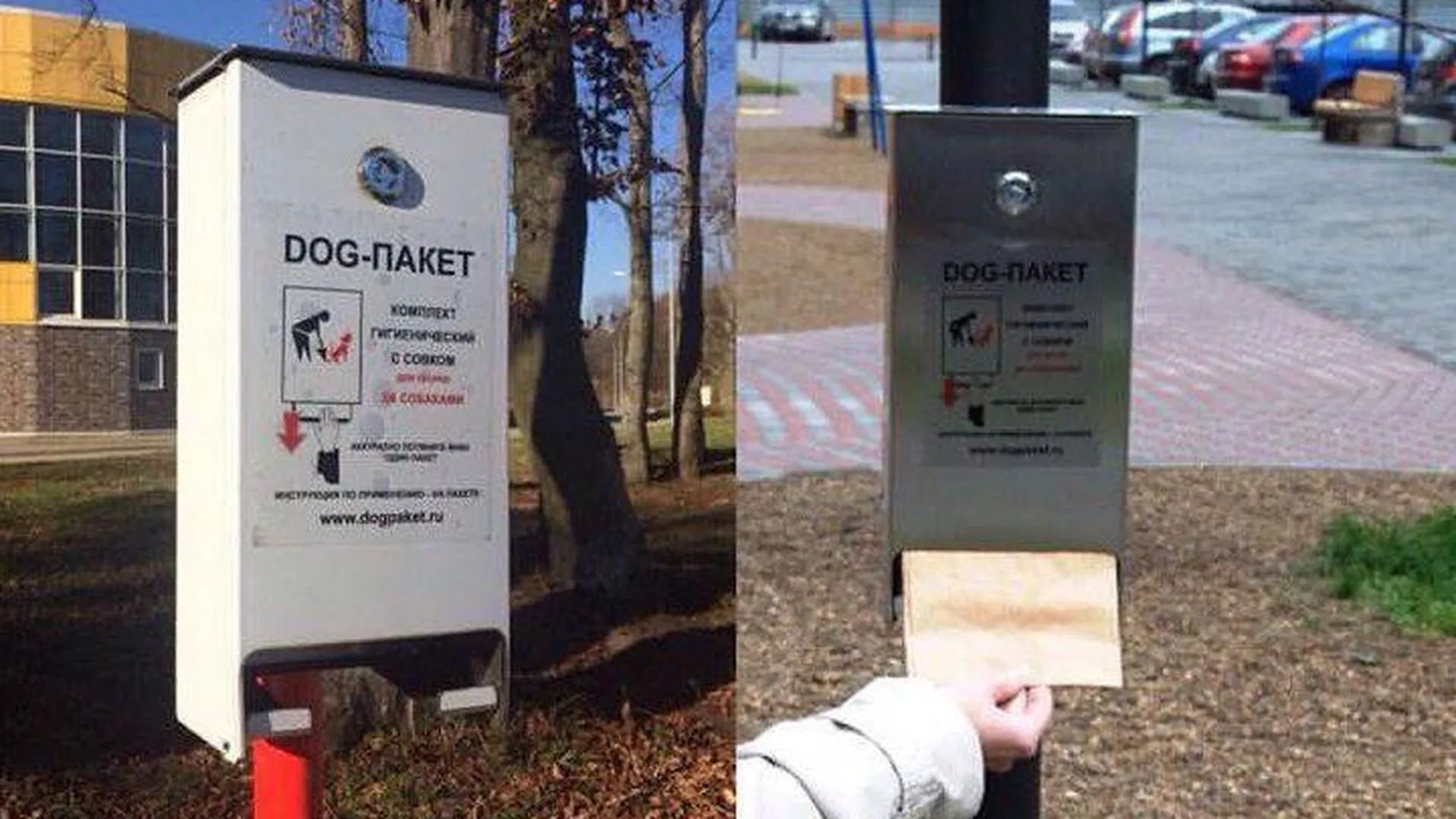 Ящики с дог-пакетами для выгула собак устанавливают в Химках