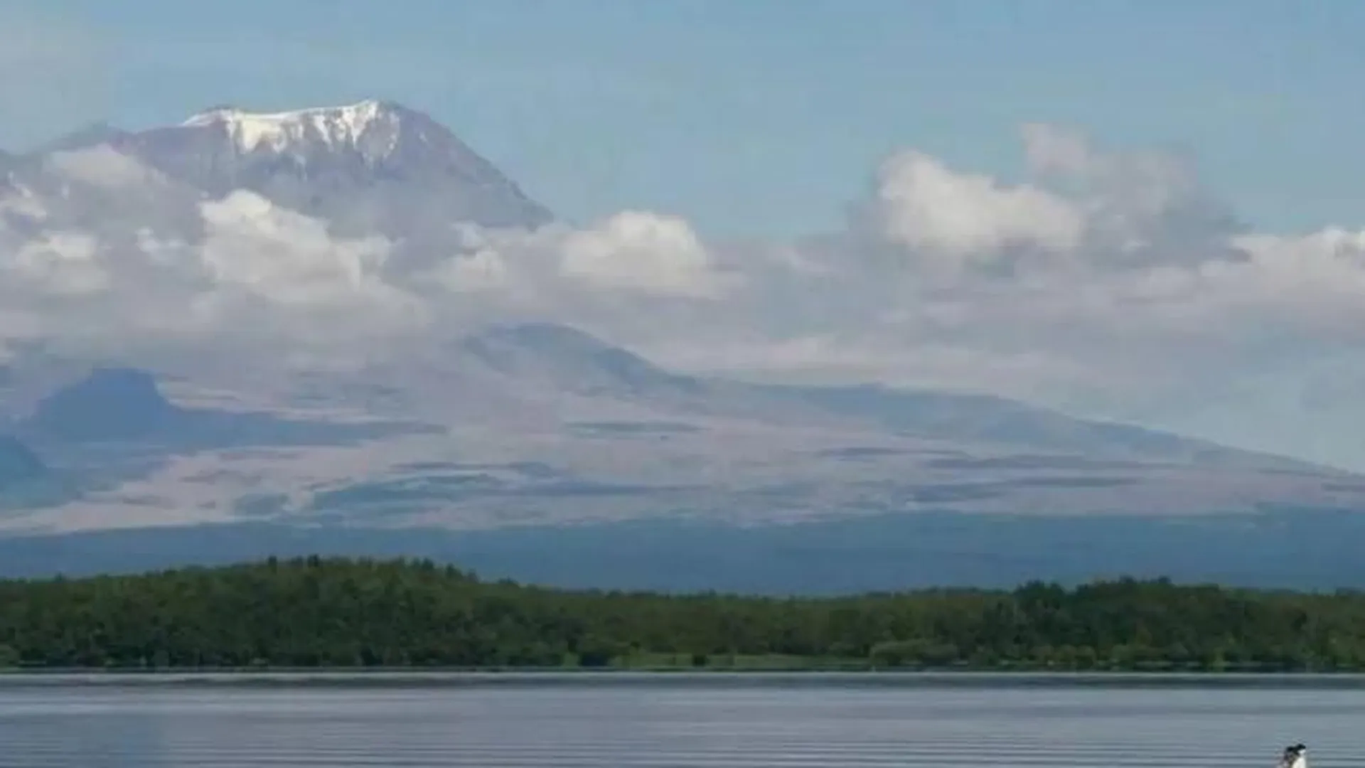 Пепел от вулкана на Камчатке распространился более чем на 200 километров