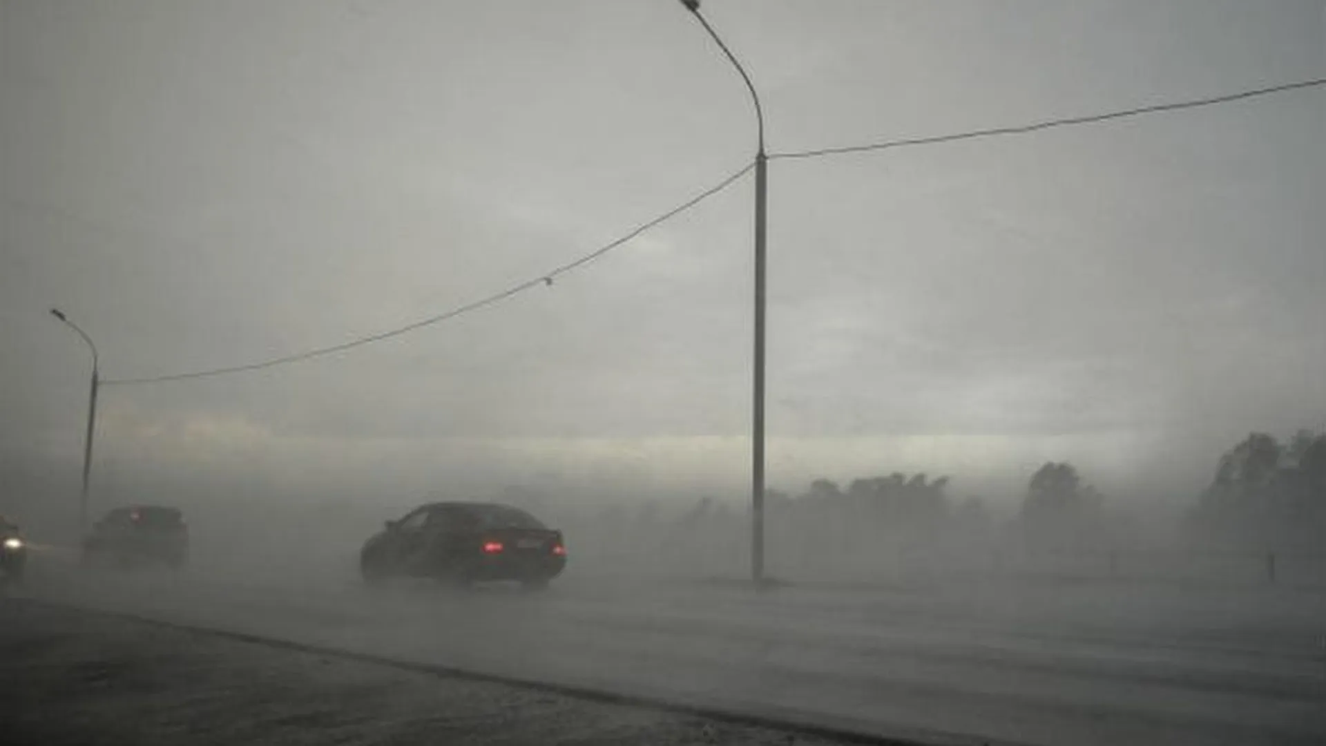 Туман, дожди и грозы: чего ждать на уик-энд в московском регионе