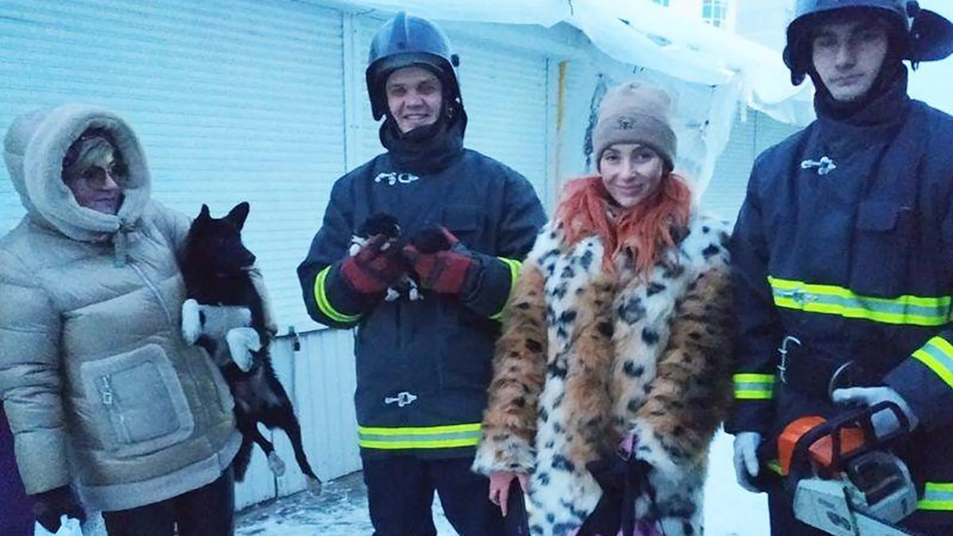 Ульяновские спасатели оказали помощь замерзающим щенкам