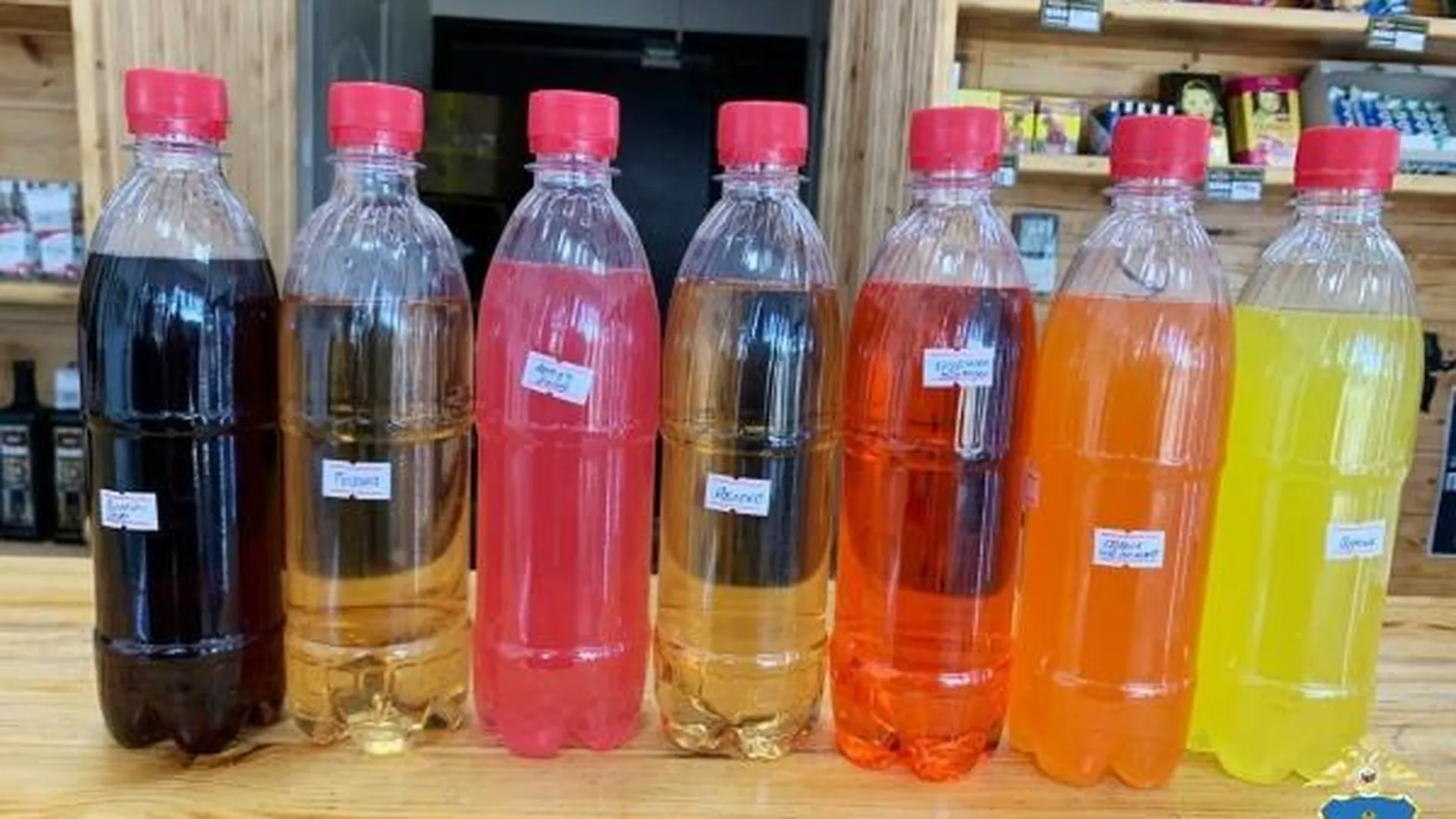 Бутылки с пивными напитками на прилавке магазина в Димитровграде