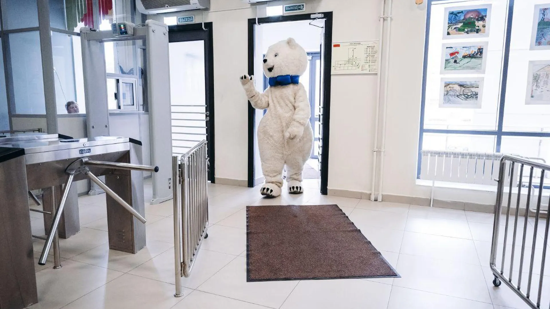 Впервые голосующий белый медведь пришел на избирательный участок в Щелкове