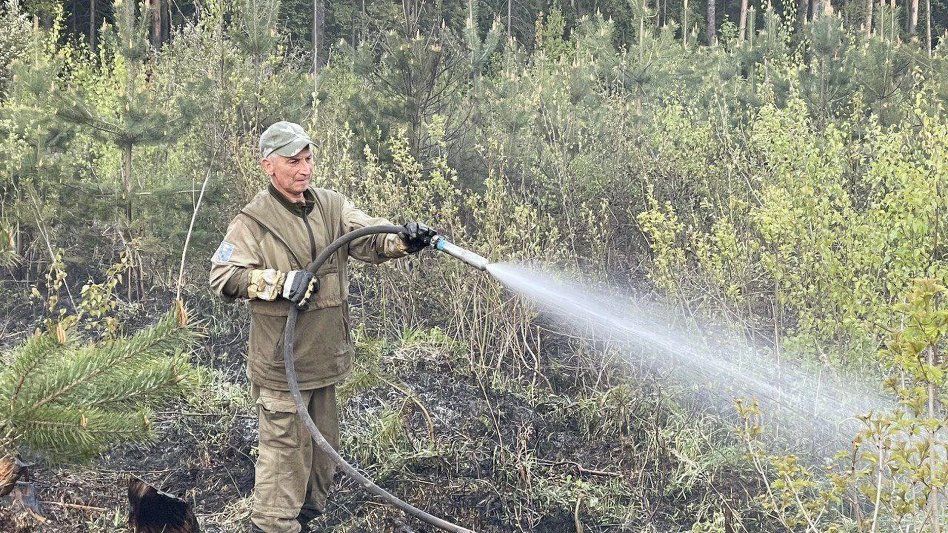 Лесной пожар ликвидировали рядом с селом Братовщина в Пушкинском округе