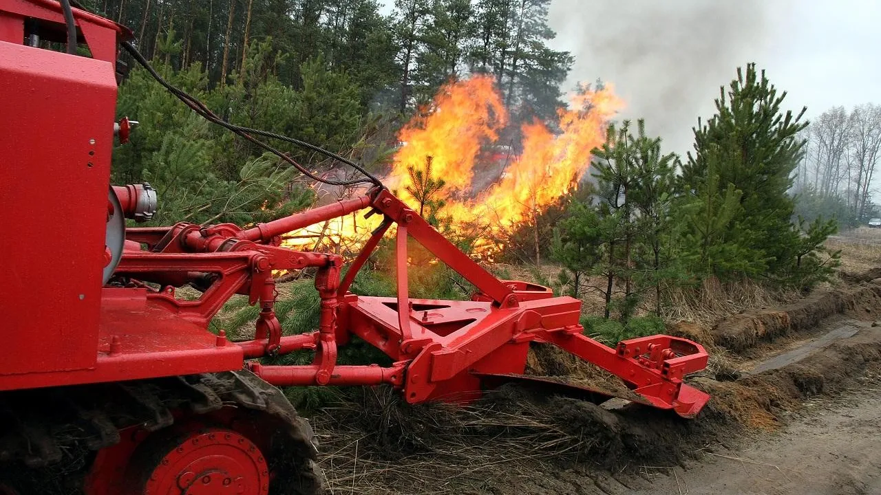 Четвертый класс пожарной опасности ожидается в ряде лесничеств Подмосковья в ближайшие дни