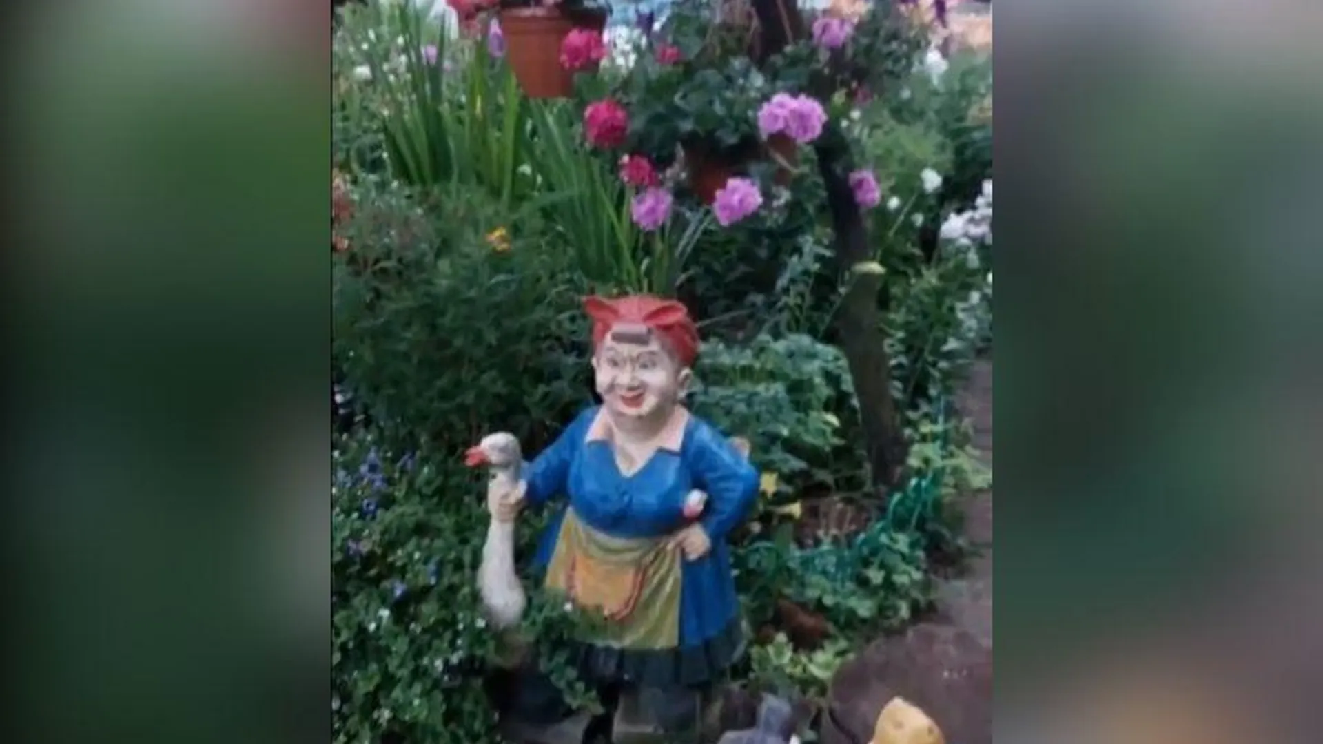 Дедушка из Краснознаменска создал возле дома настоящий ботанический сад