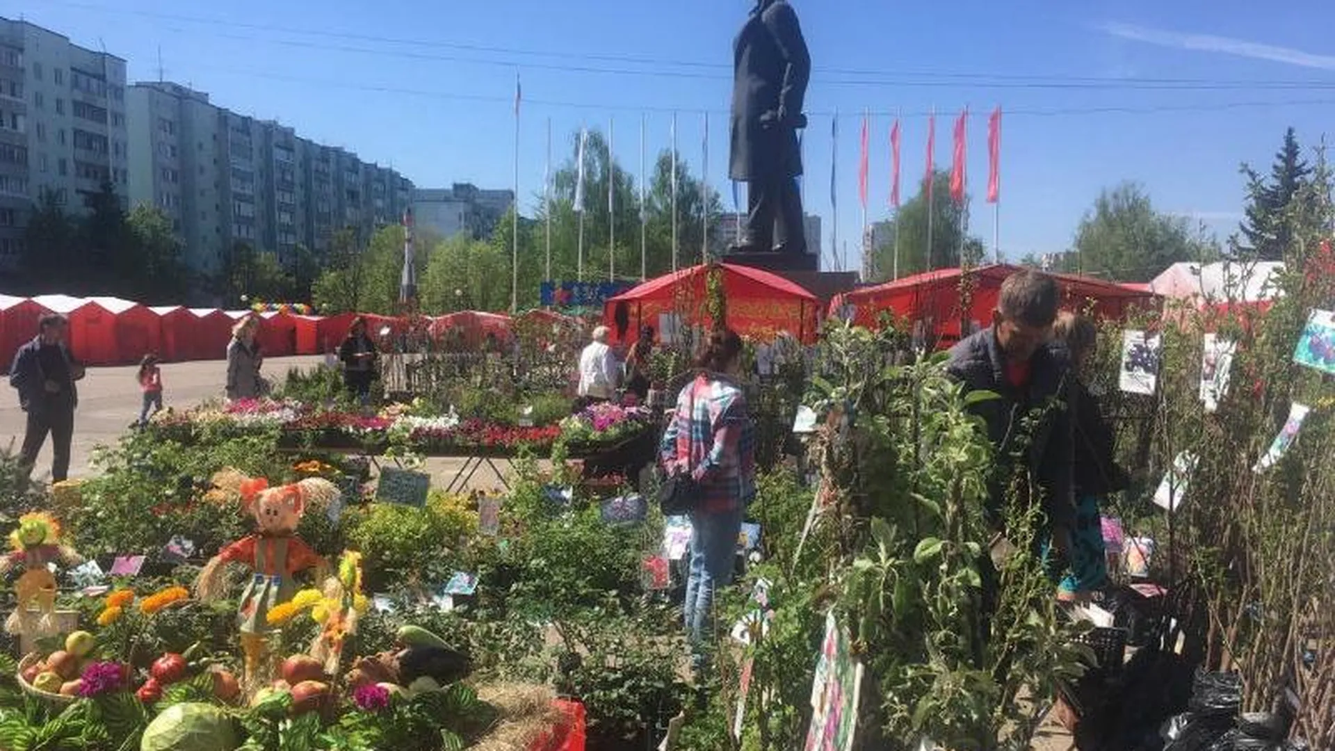 Ярмарка «Сад и огород» прошла в Краснознаменске