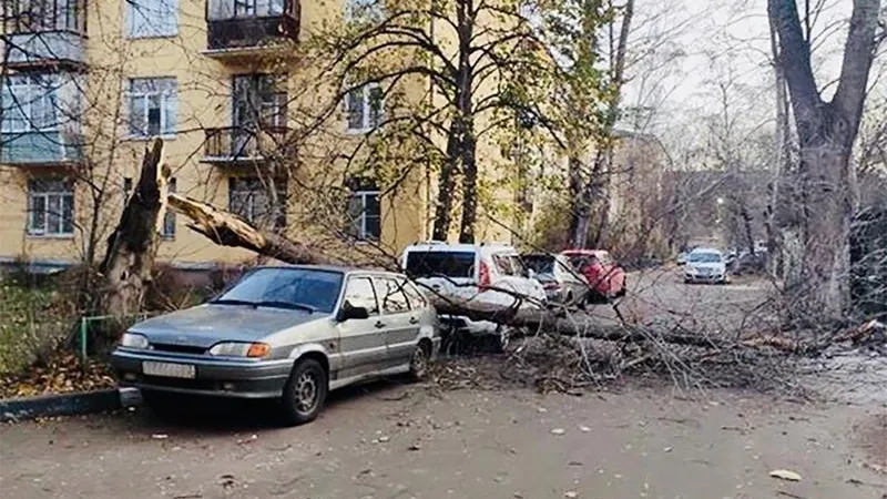 Ураганный ветер повалил деревья, обесточил электростанцию и выбил стекла домов в Подмосковье