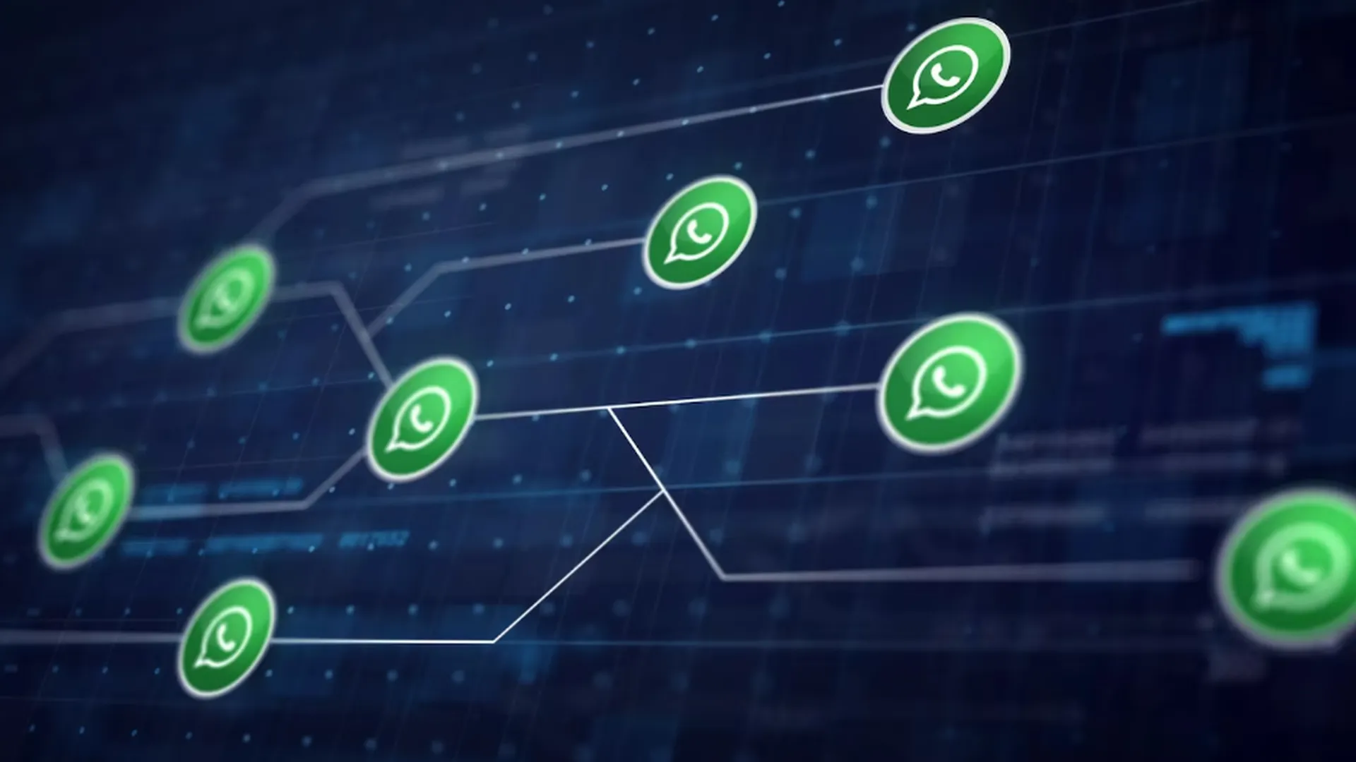 Минцифры опровергло слухи о запуске функции каналов в WhatsApp