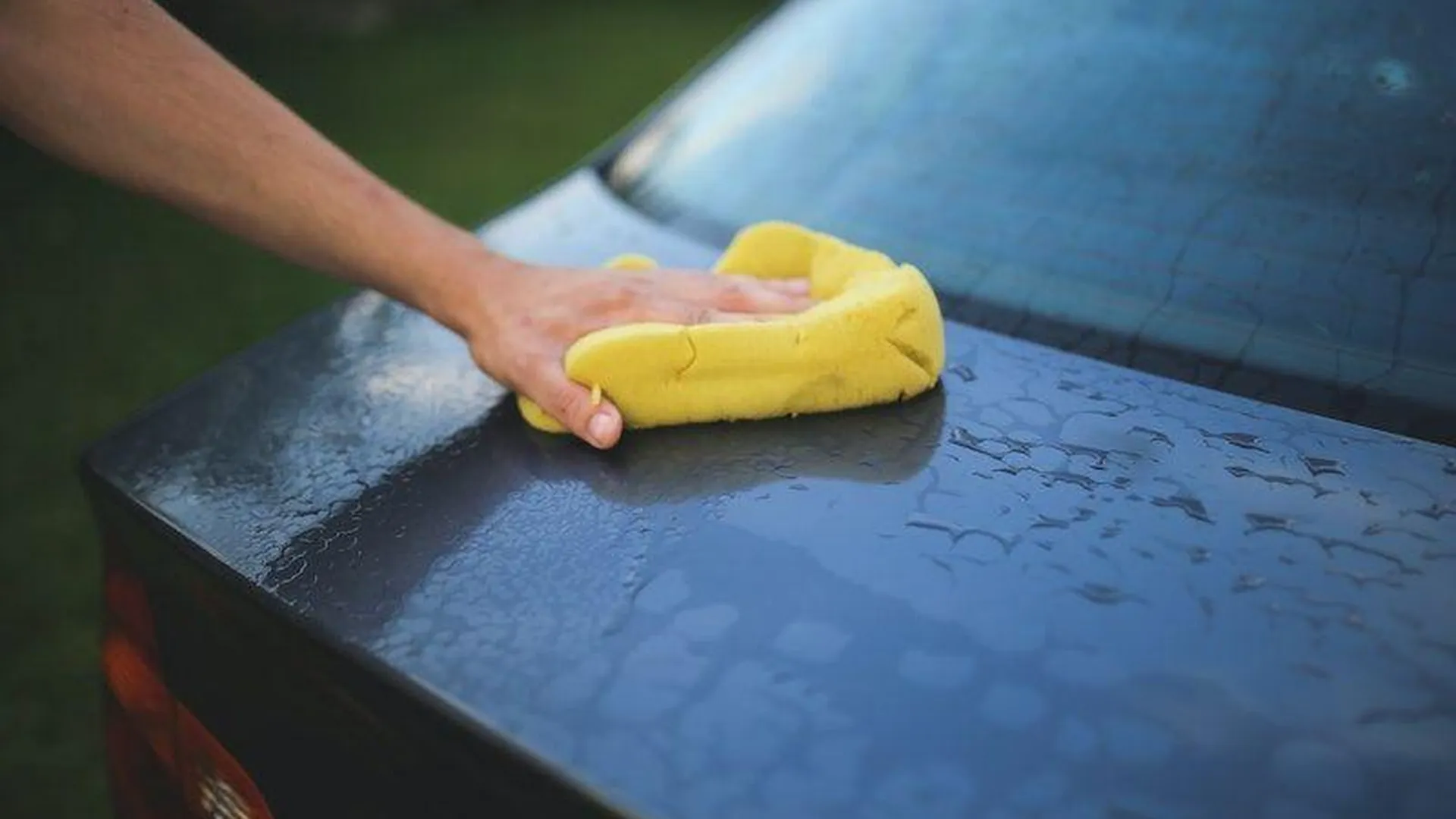 «Не планирую менять распорядок»: дачники раскритиковали закон, запрещающий мыть машину на участке