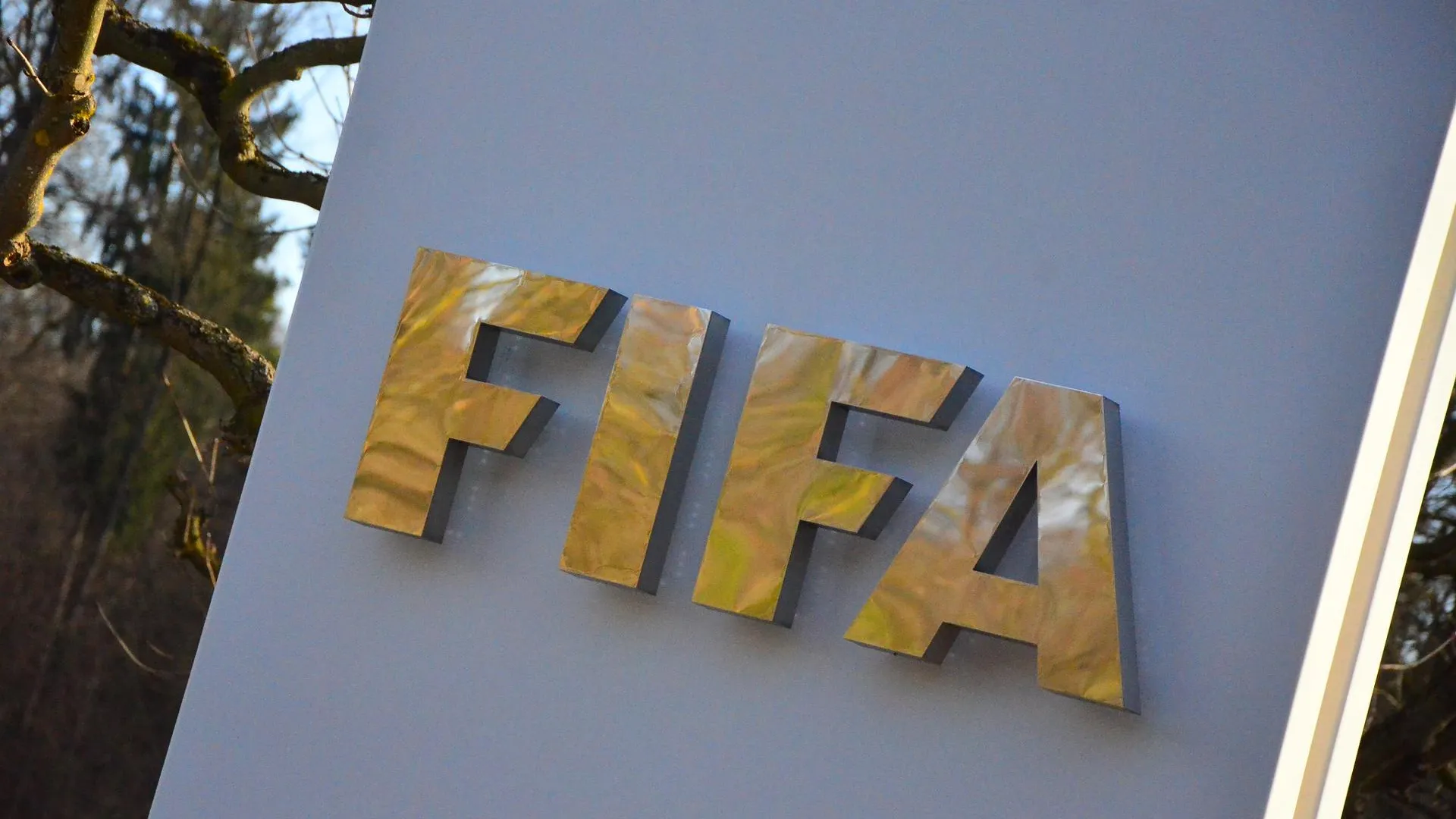 FIFA рассмотрит возможность переименования по стадиону в каждой стране в честь Пеле