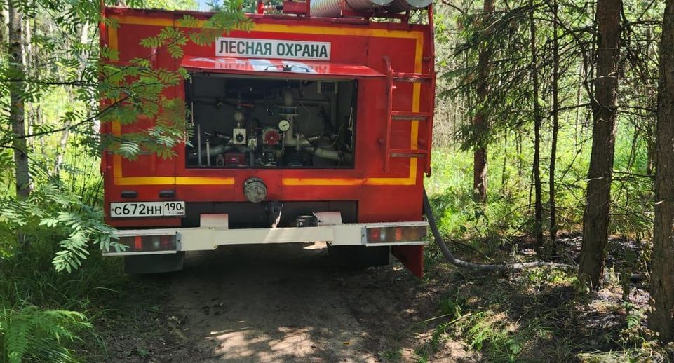 Лесной пожар потушили в деревне Полушино