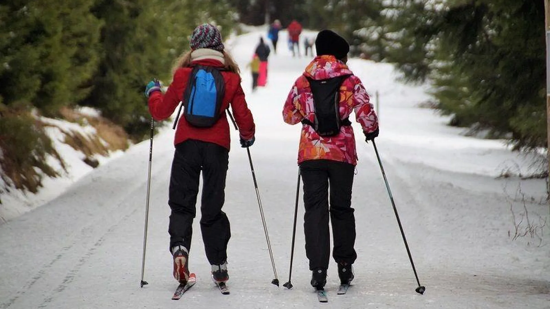 Отец и дочь напали на молодую девушку в Рузе за то, что та мешала им кататься на лыжах