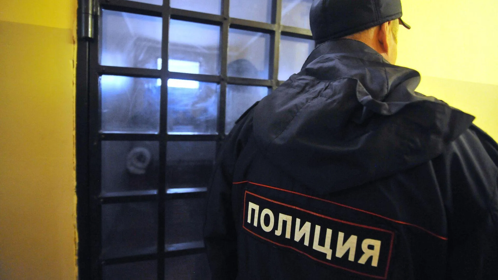 Оскорблявшего Мизулину треш-стримера из Ярославля арестовали за избиение людей