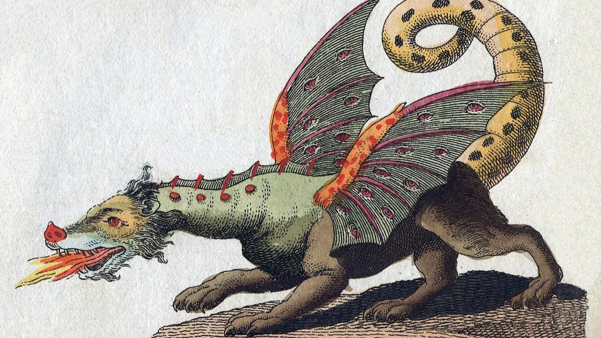Изображение крылатого огнедышащего дракона из книги Фридриха Бертуха