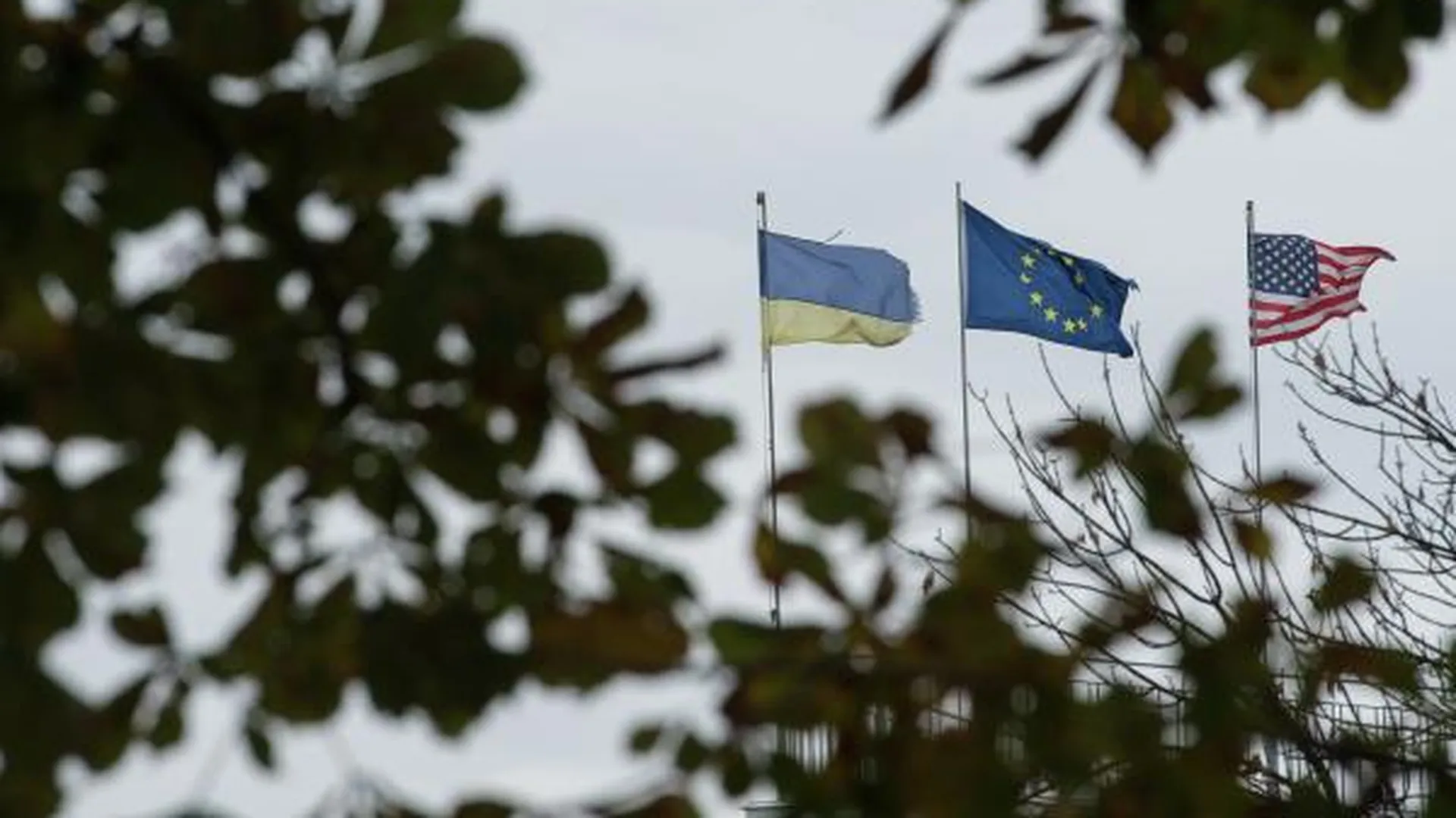 В США считают, что Украина превращается в ощетинившегося дикообраза