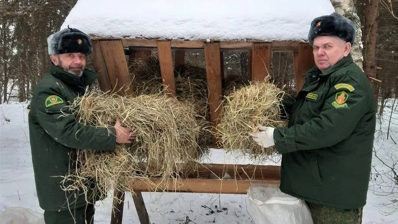 Пресс-служба Комлесхоза МО