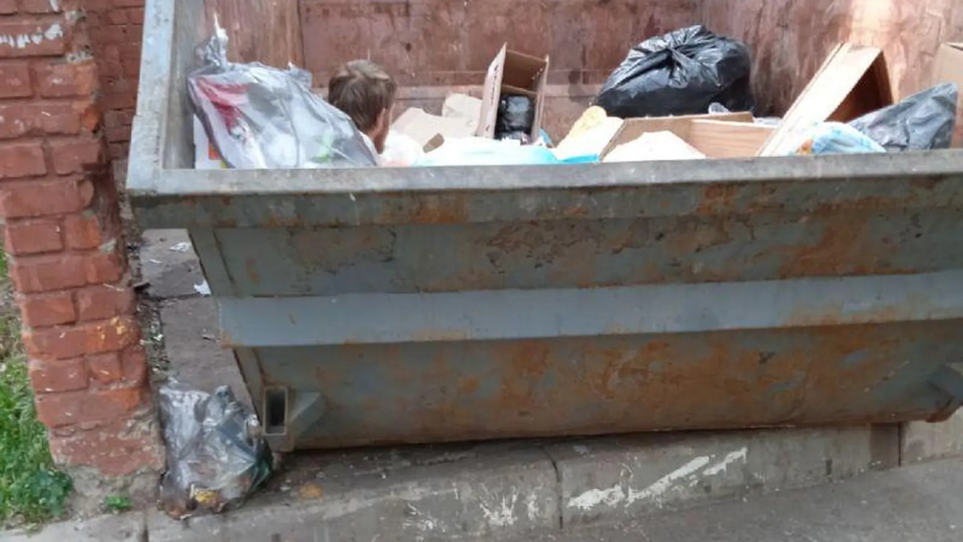 Мужчина решил отдохнуть в мусорном контейнере, чем смутил жителей Красноармейска