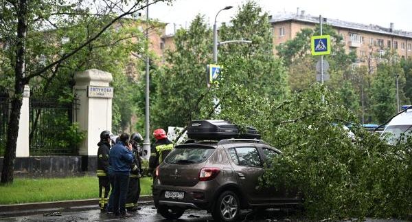 Яна Рудковская попала в эпицентр урагана в Москве