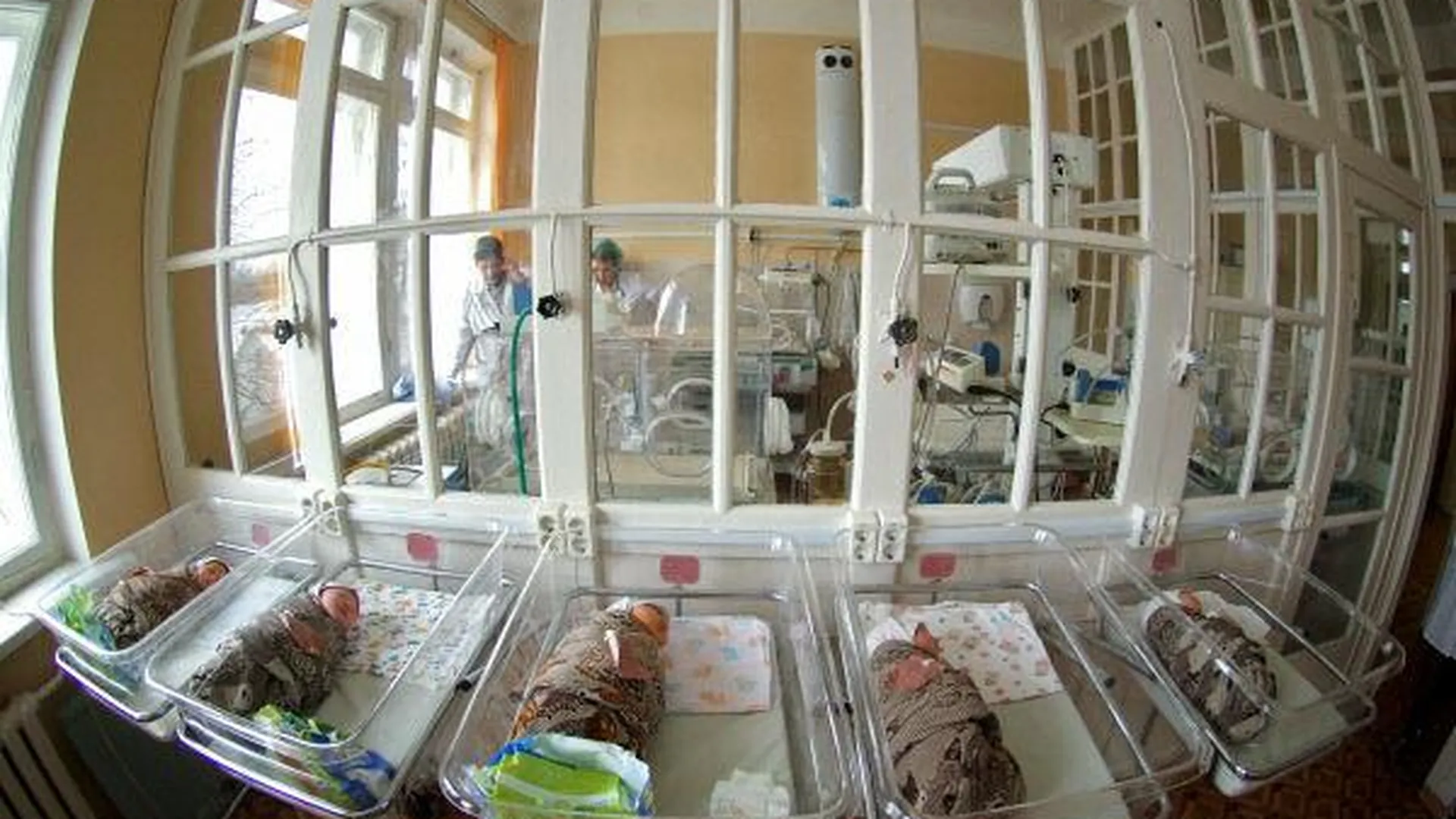 У переселенцев с Украины в МО родились более 200 детей