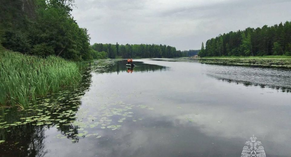 «Фонтанка»: в Ленинградской области утонул 50-летний военнослужащий