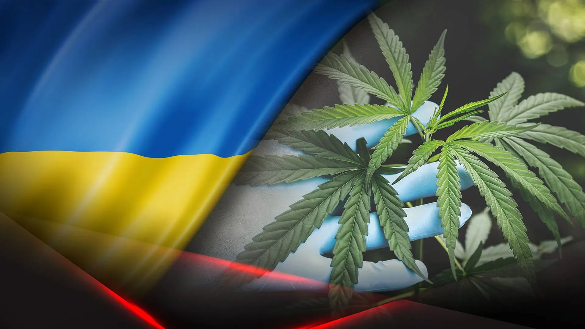 Флаг Украины и листья конопли