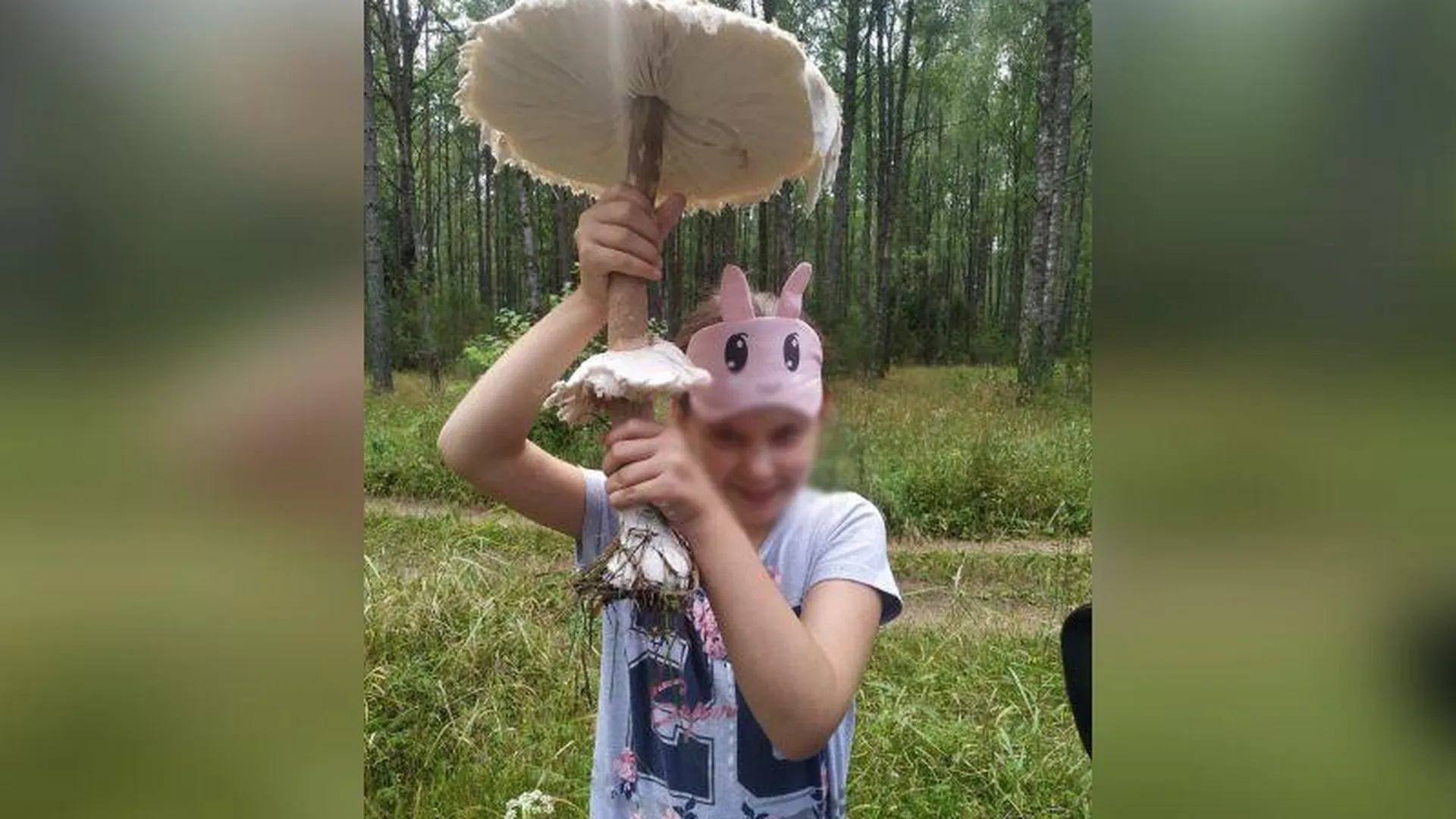 Уникальный гриб-зонтик исполинского размера нашел житель Подмосковья
